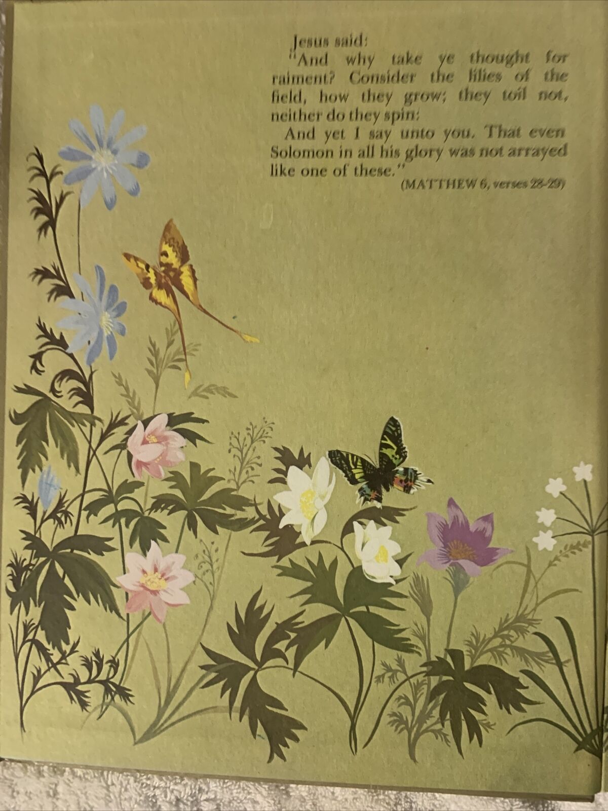 DEANS GIFT BOOK of BIBLE STORIES by Janet & Anne Grahame Johnstone 1974 HC