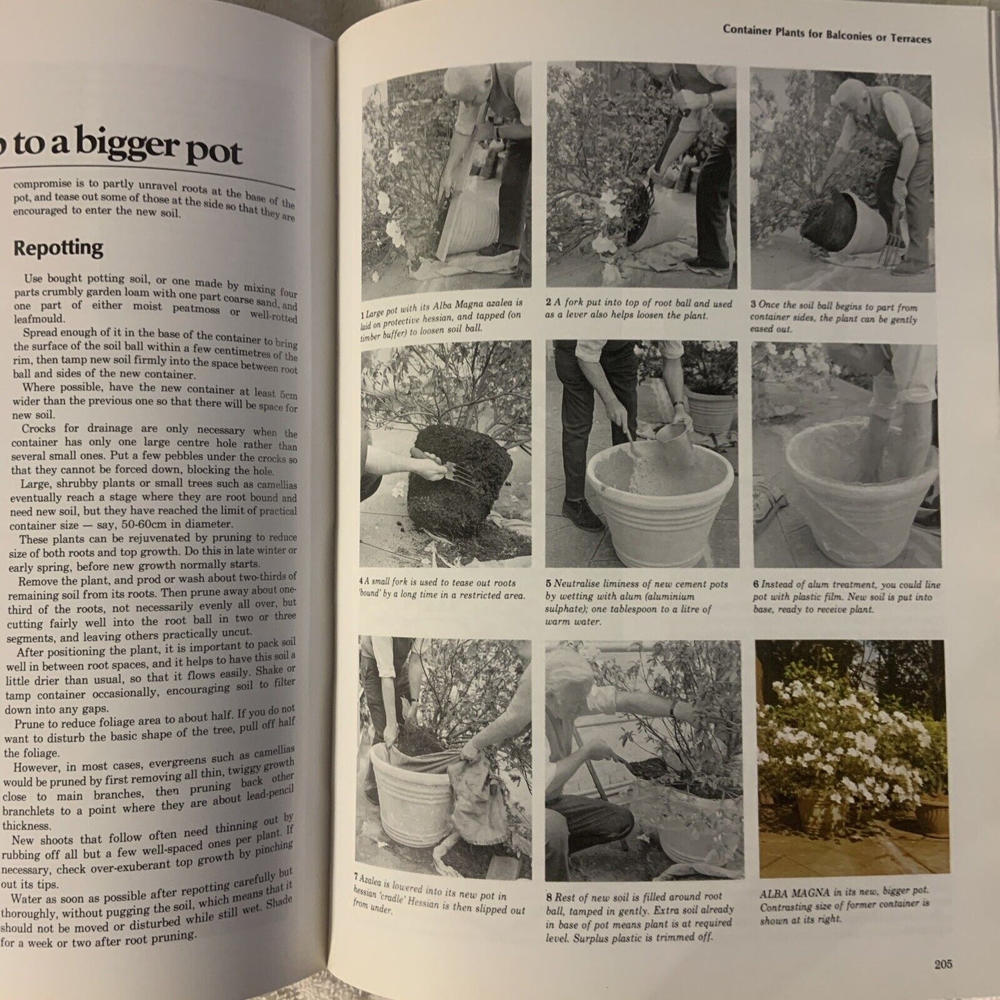HC Vintage GARDENING BOOK by Allan Seale Large Book Australia Womens Weekly