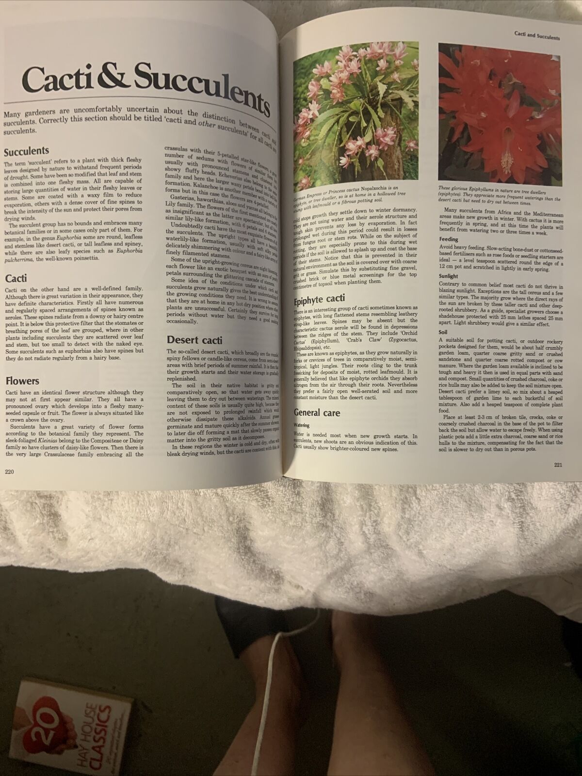 HC Vintage GARDENING BOOK by Allan Seale Large Book Australia Womens Weekly