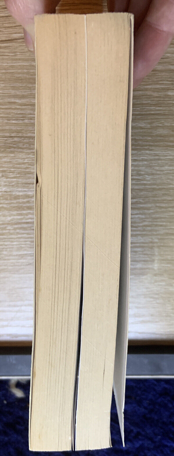 THE BIN LADENS Oil Money Terrorism Secret Saudi World by SSTEVE COLL Osama Book