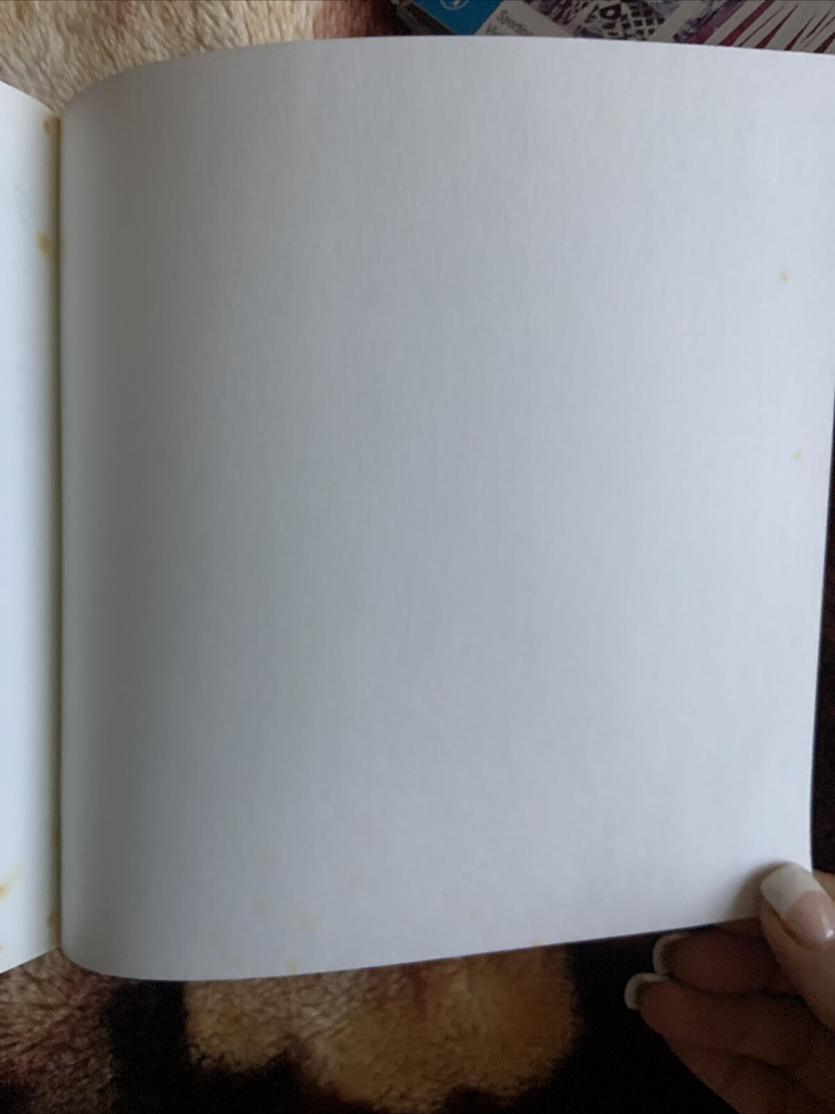 Cookbook ONE FOR ALL Favourite Dishes Adapted For Special Diets Pam Dotter PB