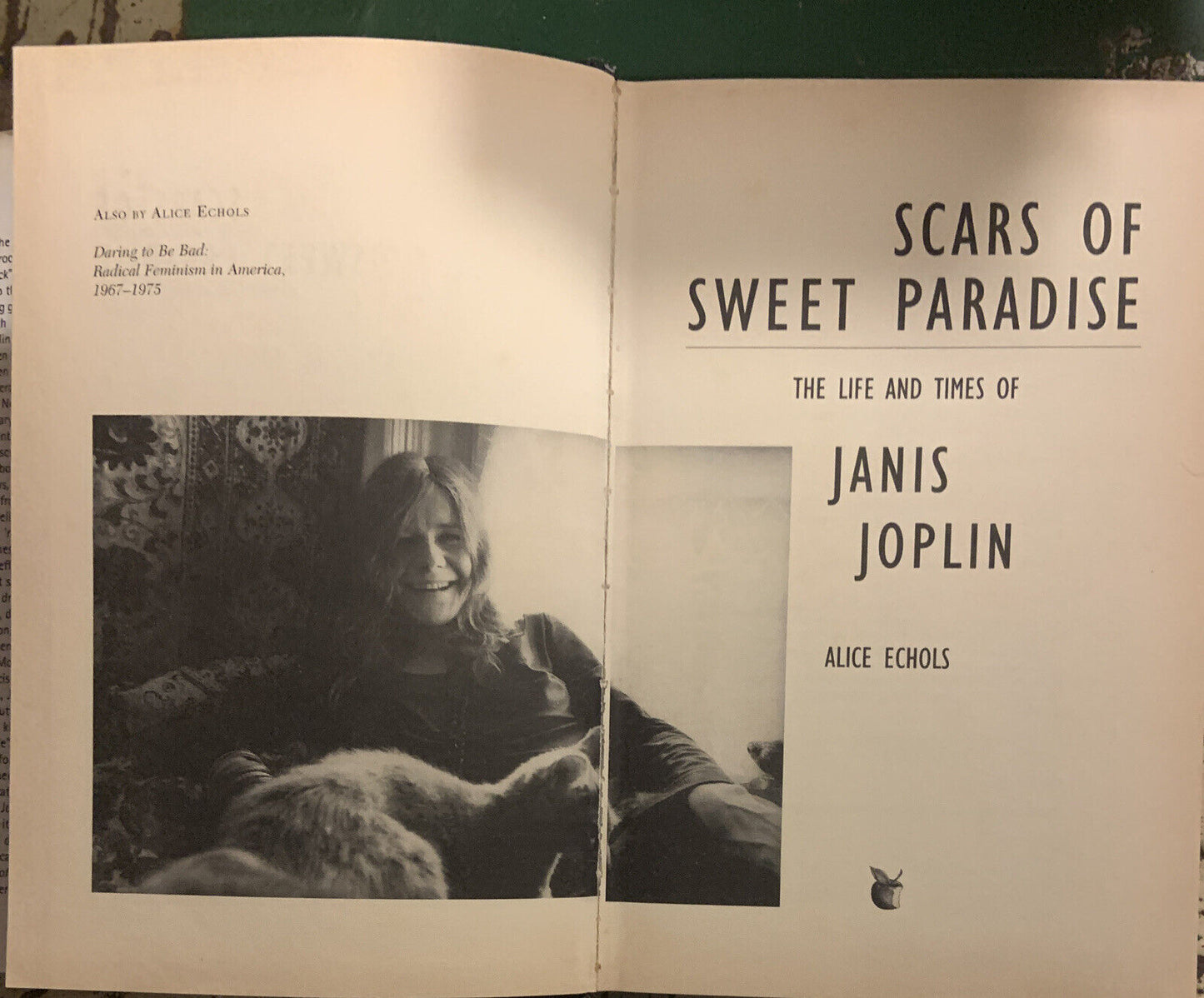 ALICE ECHOLS SCARS OF SWEET PARADISE THE LIFE & TIMES of JANIS JOPLIN 1999 Book
