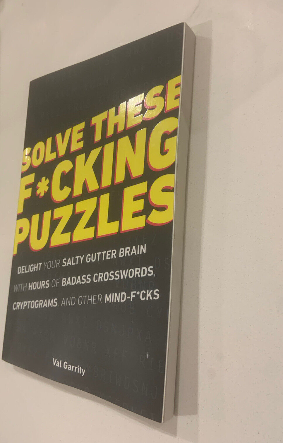PB Book SOLVE THESE F*CKING PUZZLES Delight Your Salty Gutter Brain Val Garrity