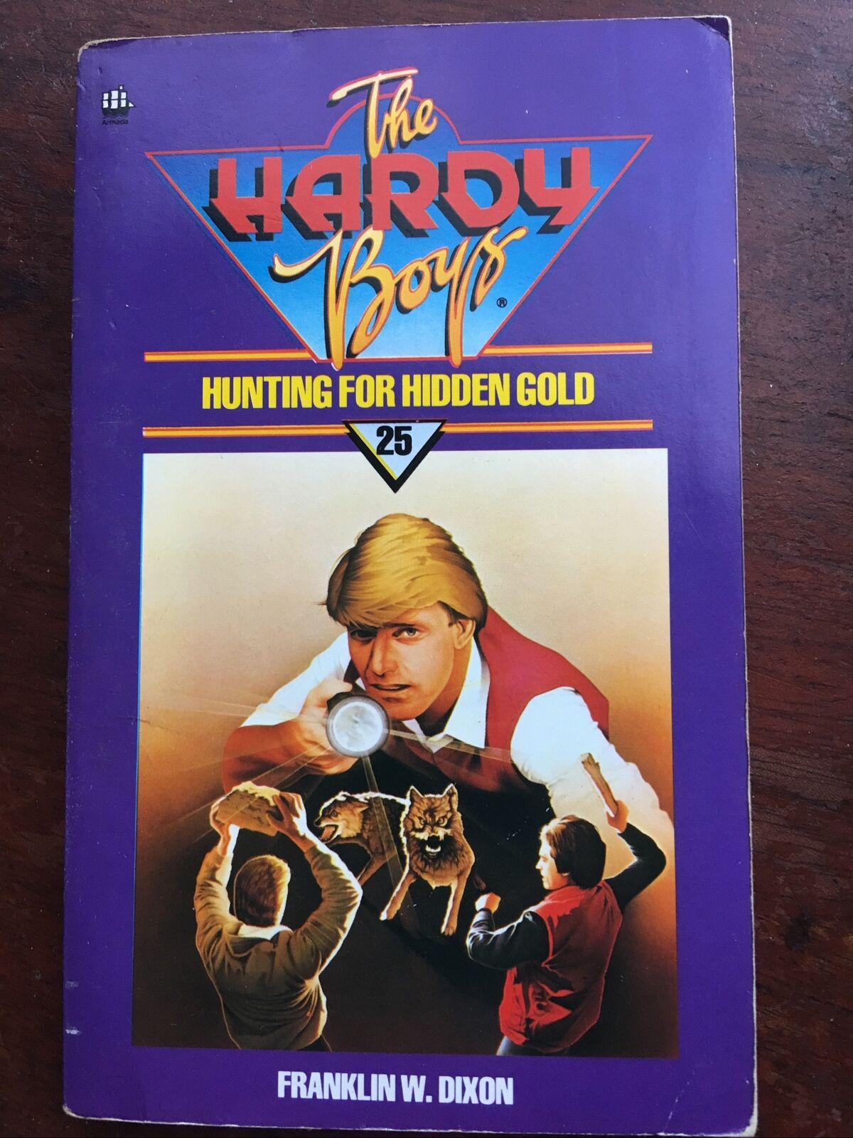 PB Book Hunting for Hidden Gold #25 Hardy Boys Mystery Stories Franklin W Dixon