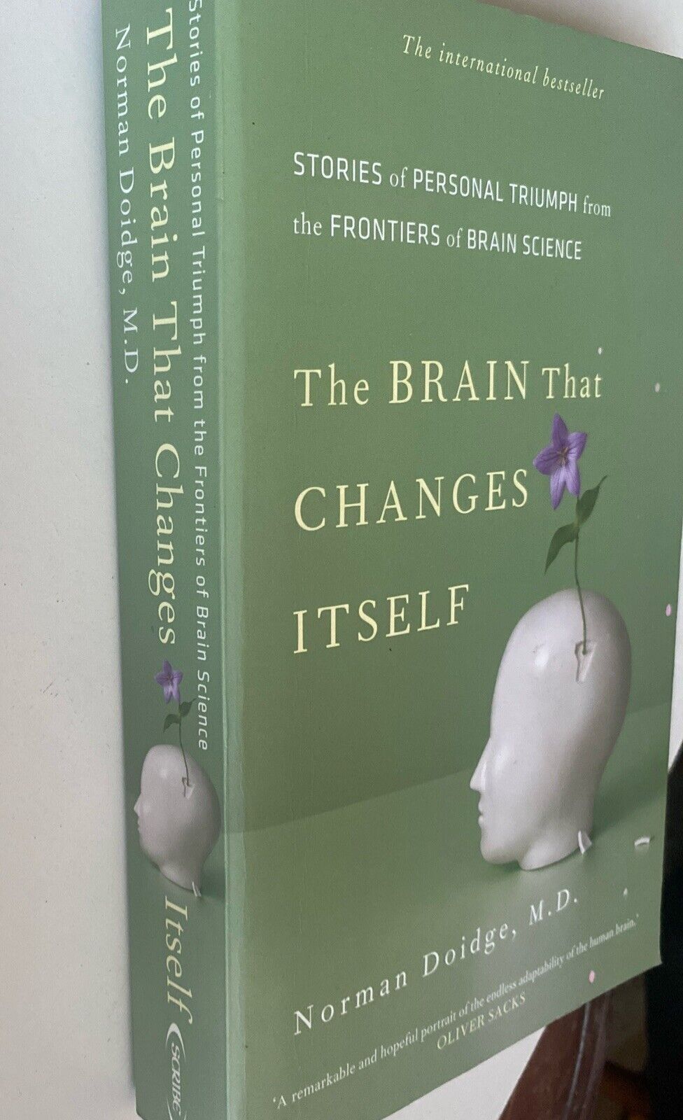 PB Book Brain That Changes Itself Norman Doidge Psychology Health 2009 True