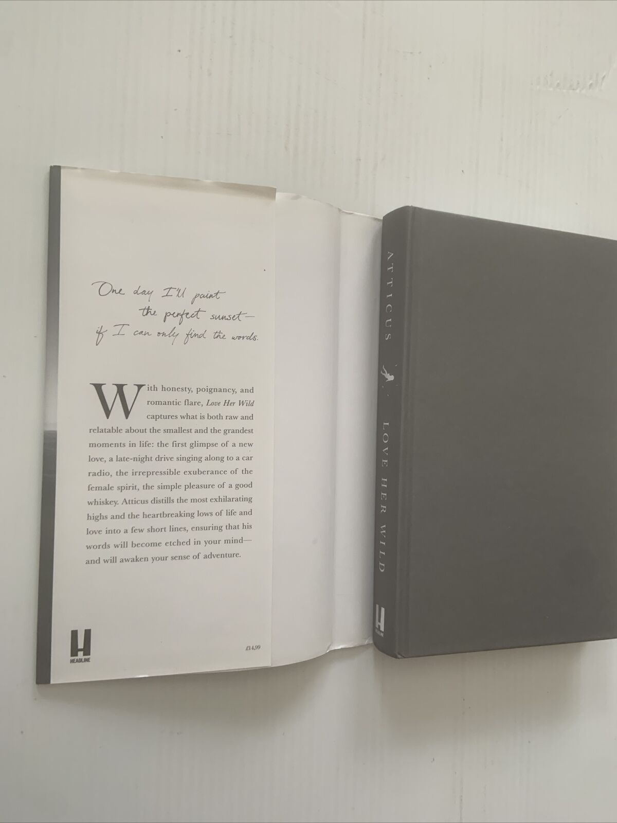 HC Book LOVE HER WILD ATTICUS POEMS w DJ Great Gift NEW