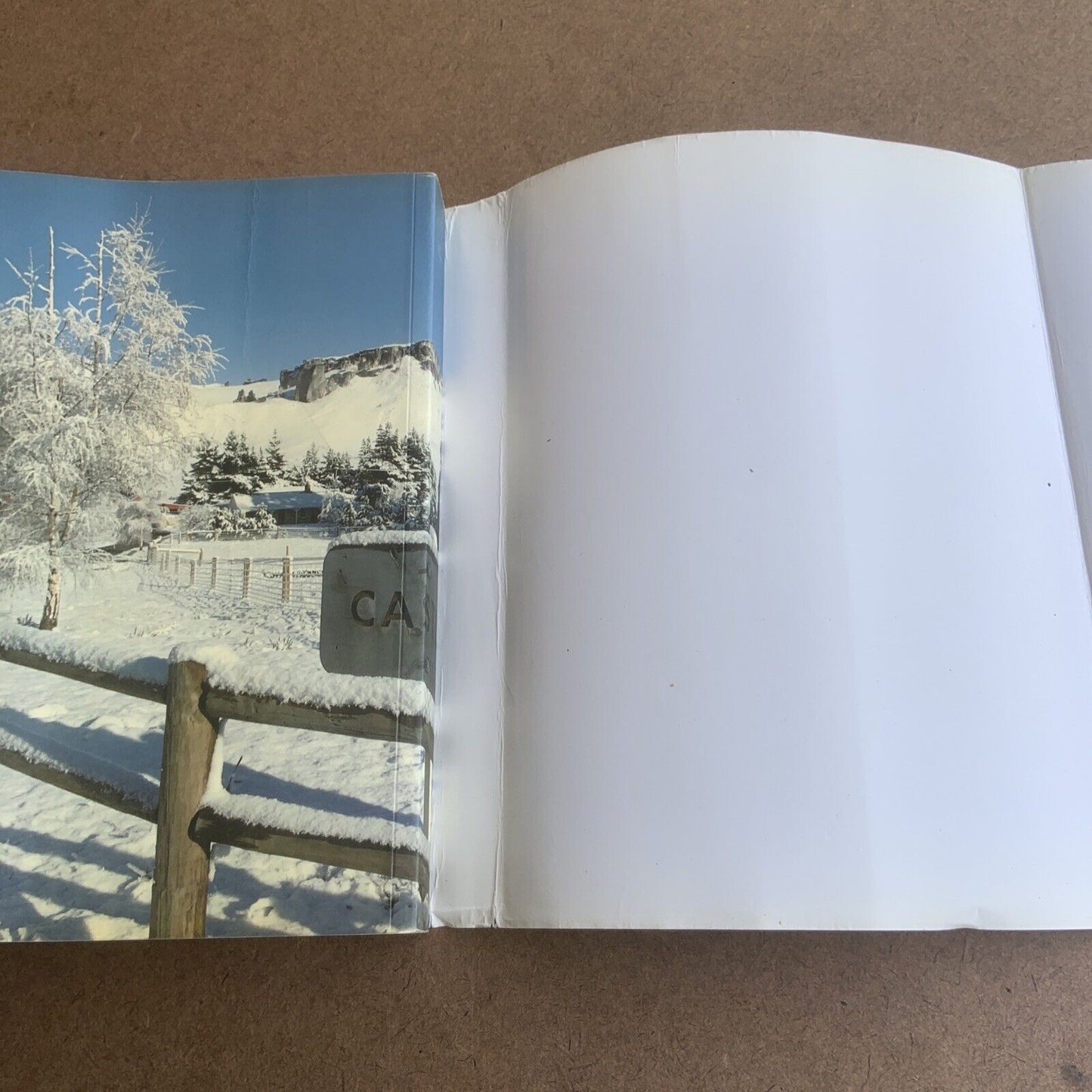 THE ROAD TO CASTLE HILL Christine Fernyhough High Country Station New Zealand PB