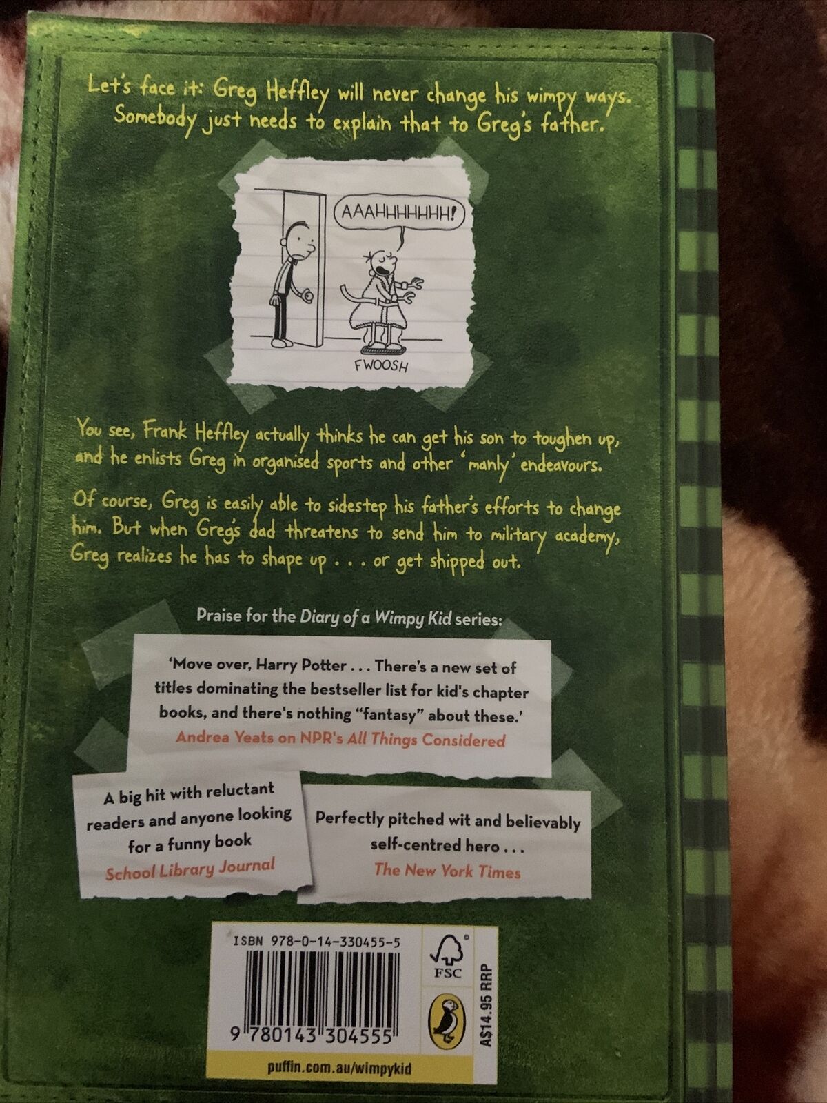 Fiction PB DIARY OF A WIMPY KID The Last Straw By Jeff Kinney Kids Book