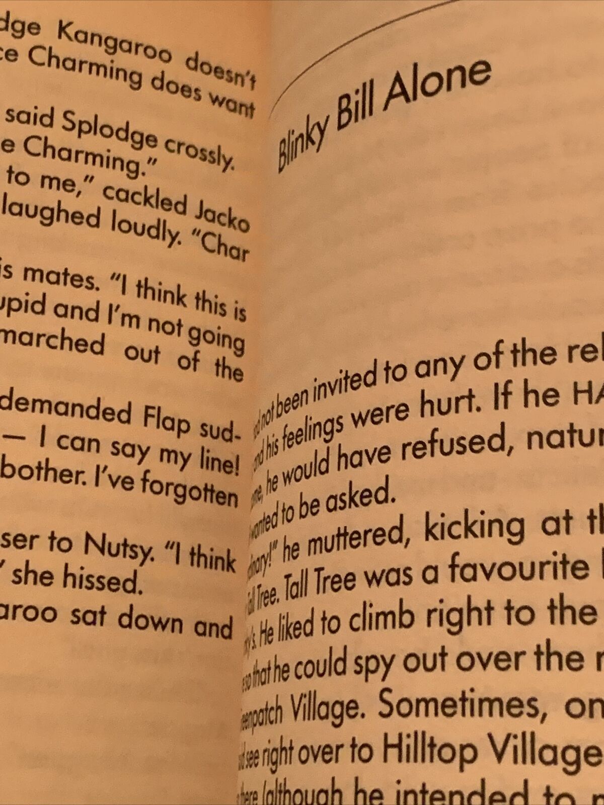 PB Book BLINKY BILL ON STAGE - Sally Odgers 1992 Australian Vintage