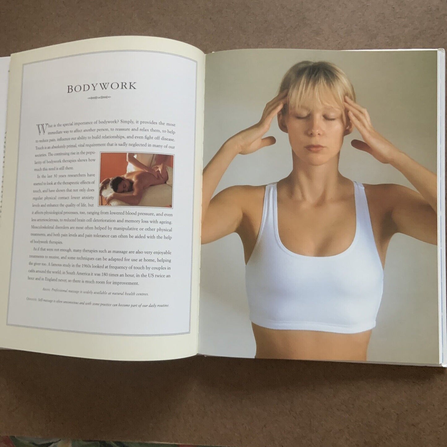 The Guide to Natural Therapies Choosing and Using Natural Methods for Physical