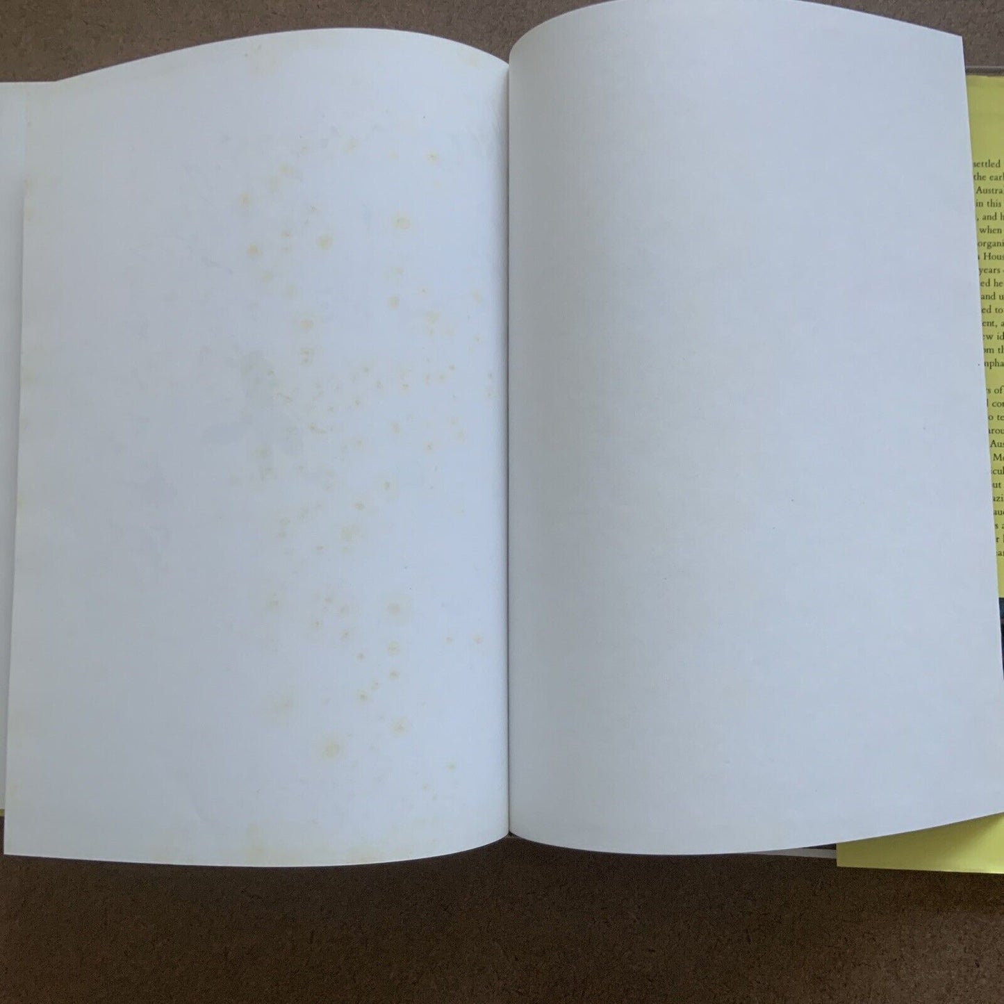 HC Book Imaginative Brushwork by Merope Mills DJ 1993