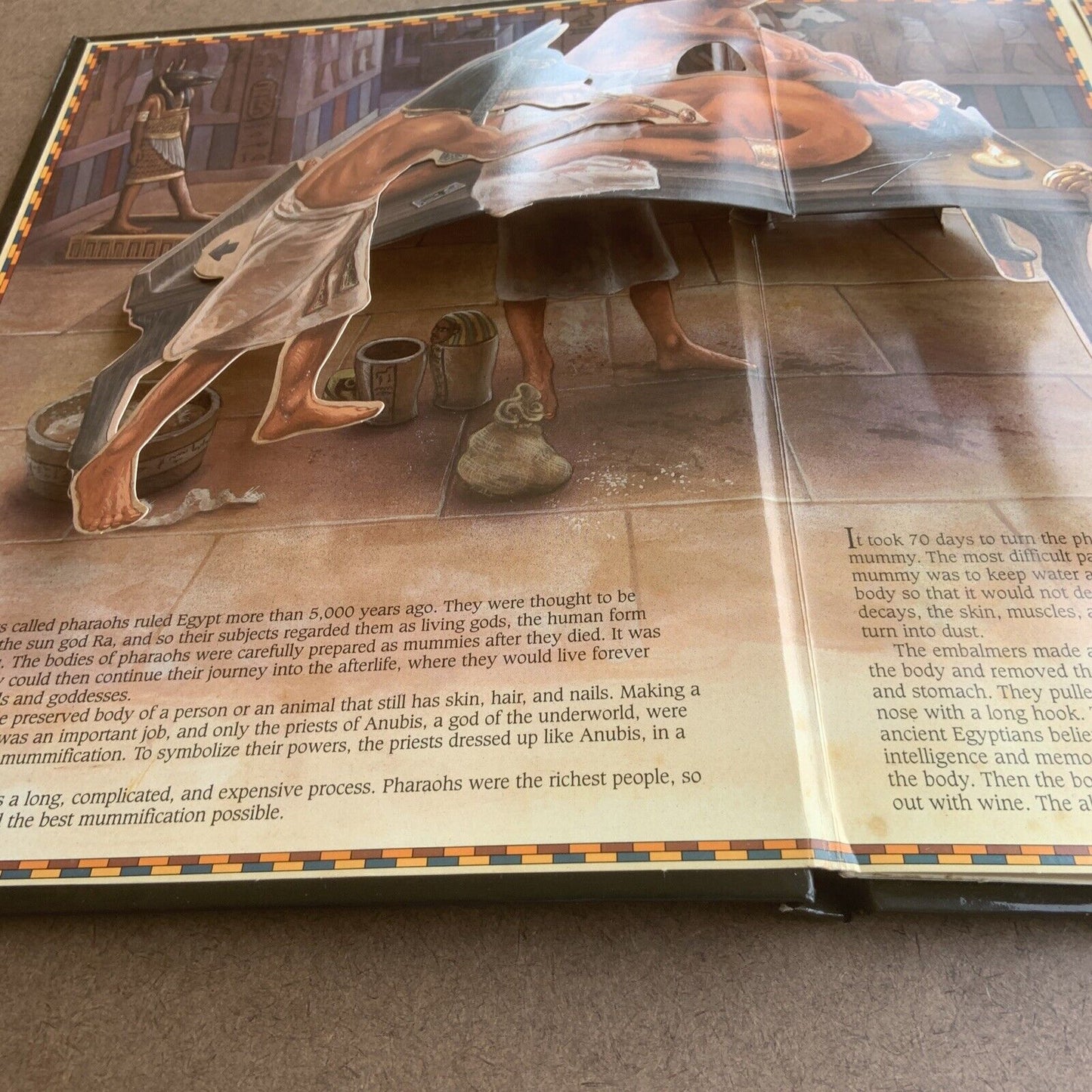 HC Book EGYPTIAN MUMMIES A Pop-Up Book Glossy Wipe Clean unused all ages