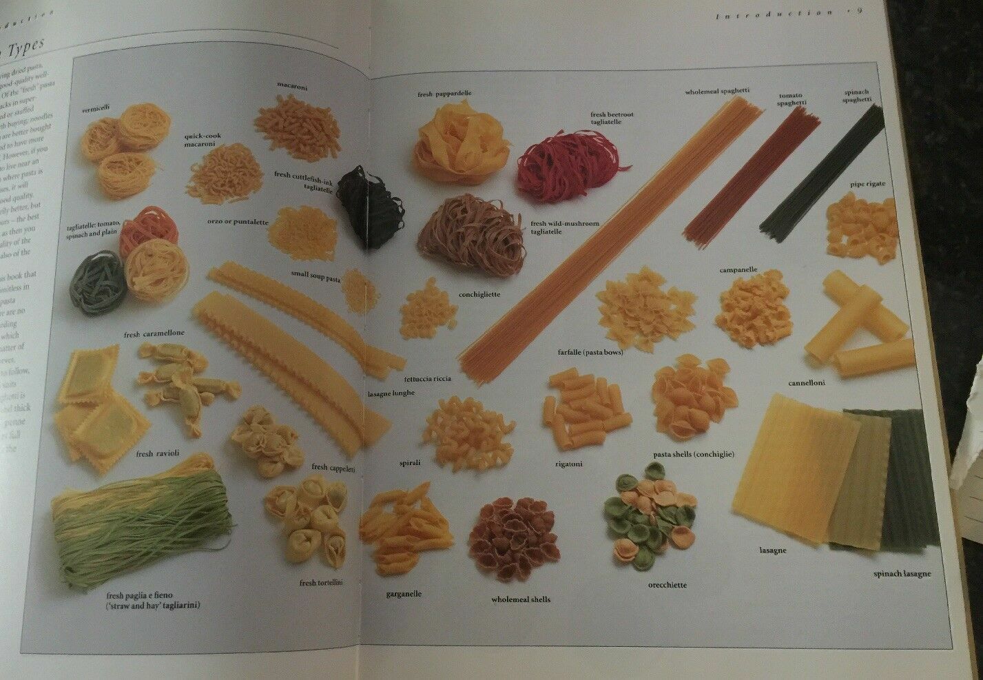CookBook PASTA ENTERTAINING Fab Ideas for Special Occasion Dishes Linda Fraser