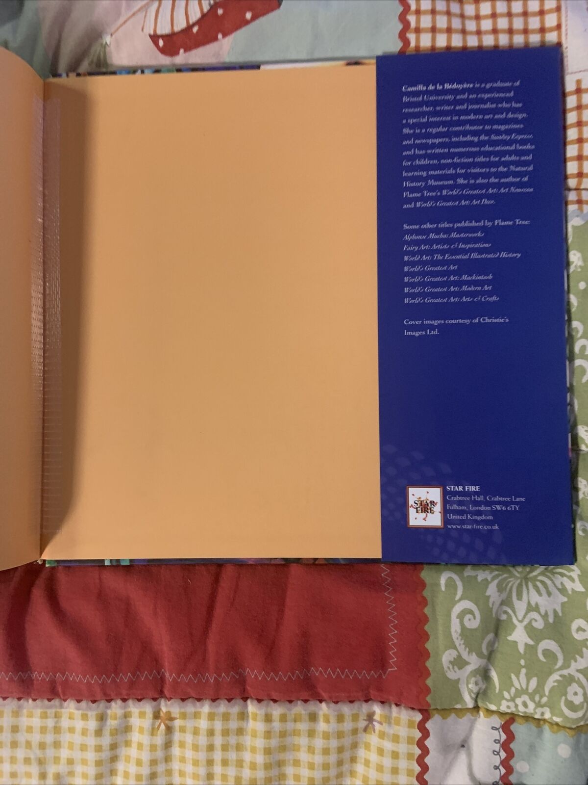 TIFFANY MASTERWORKS Camilla de la Bedoyere: Louis Comfort Large HC DJ Lux Design