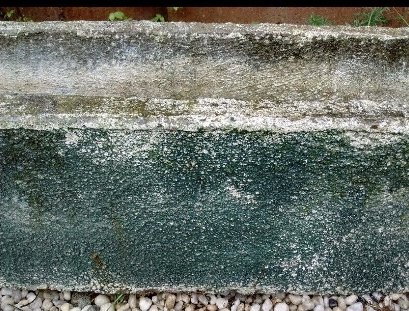 Pair Vintage Planter Pot CONCRETE TROUGH 28x 35cm Rectangular White Green Patina