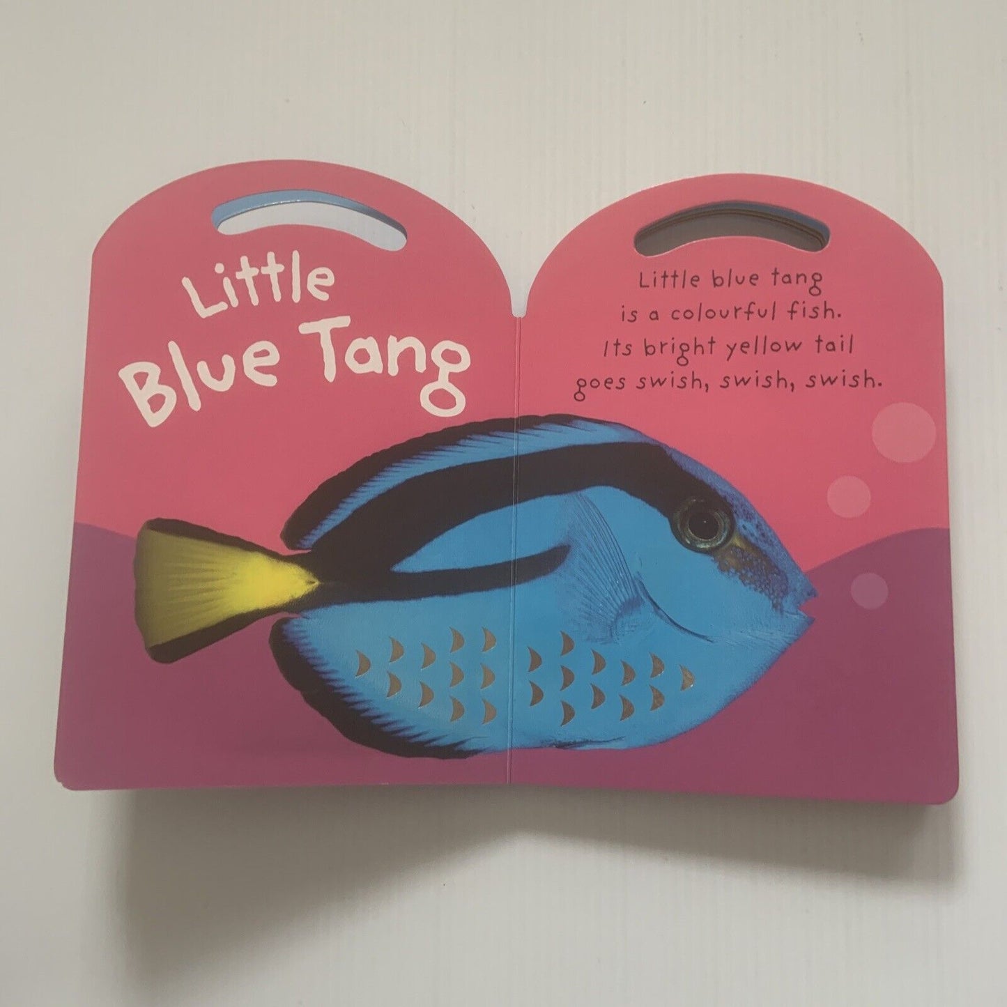 BAY KOALA Baby Touch & Feel by Roger Priddy Interactive 3D Baby Hard Card Book