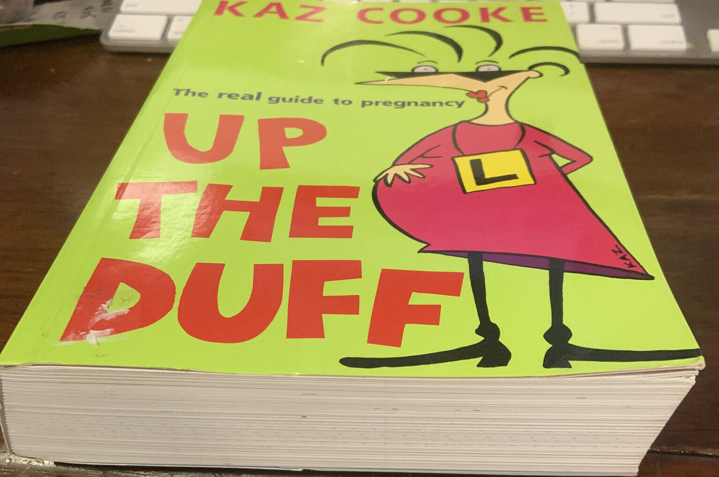 PB Book UP THE DUFF The Real Guide to Pregnancy Kaz Cooke 1999 Birth Parenting