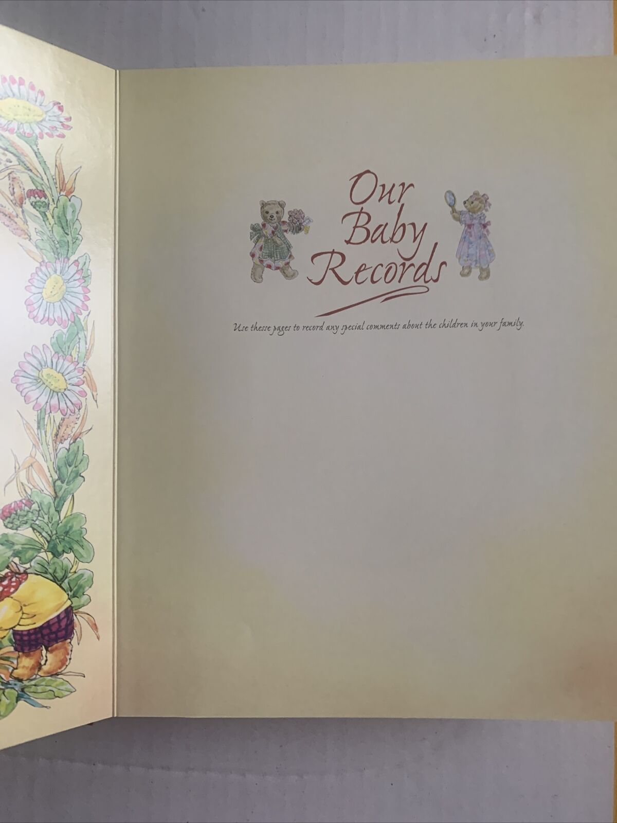 Photograph Album TEDDY BEARS TREASURY Family History Unused Board Book 1997