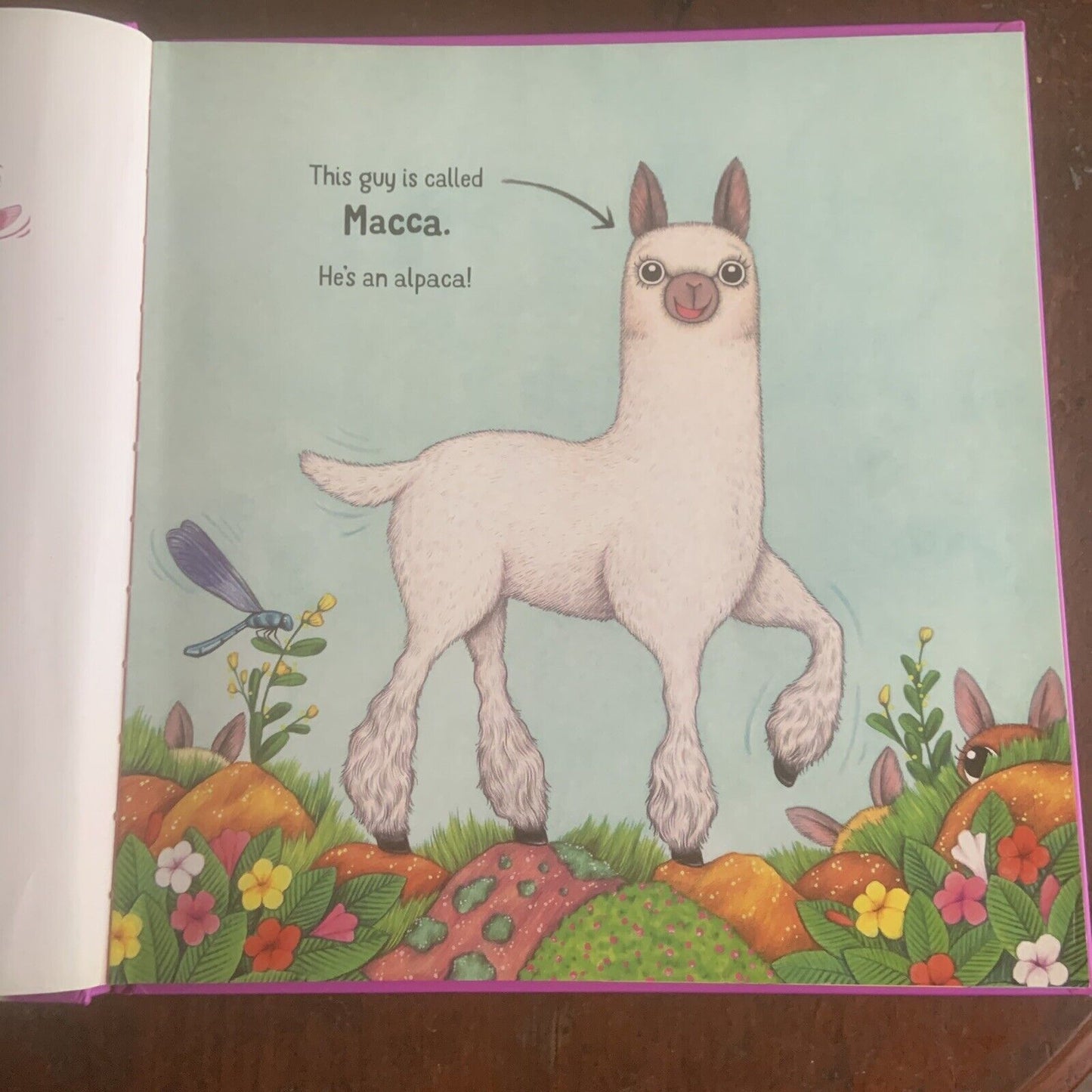 HC Book A Stack of Alpacas by Matt Cosgrove (English) Children’s Story Book
