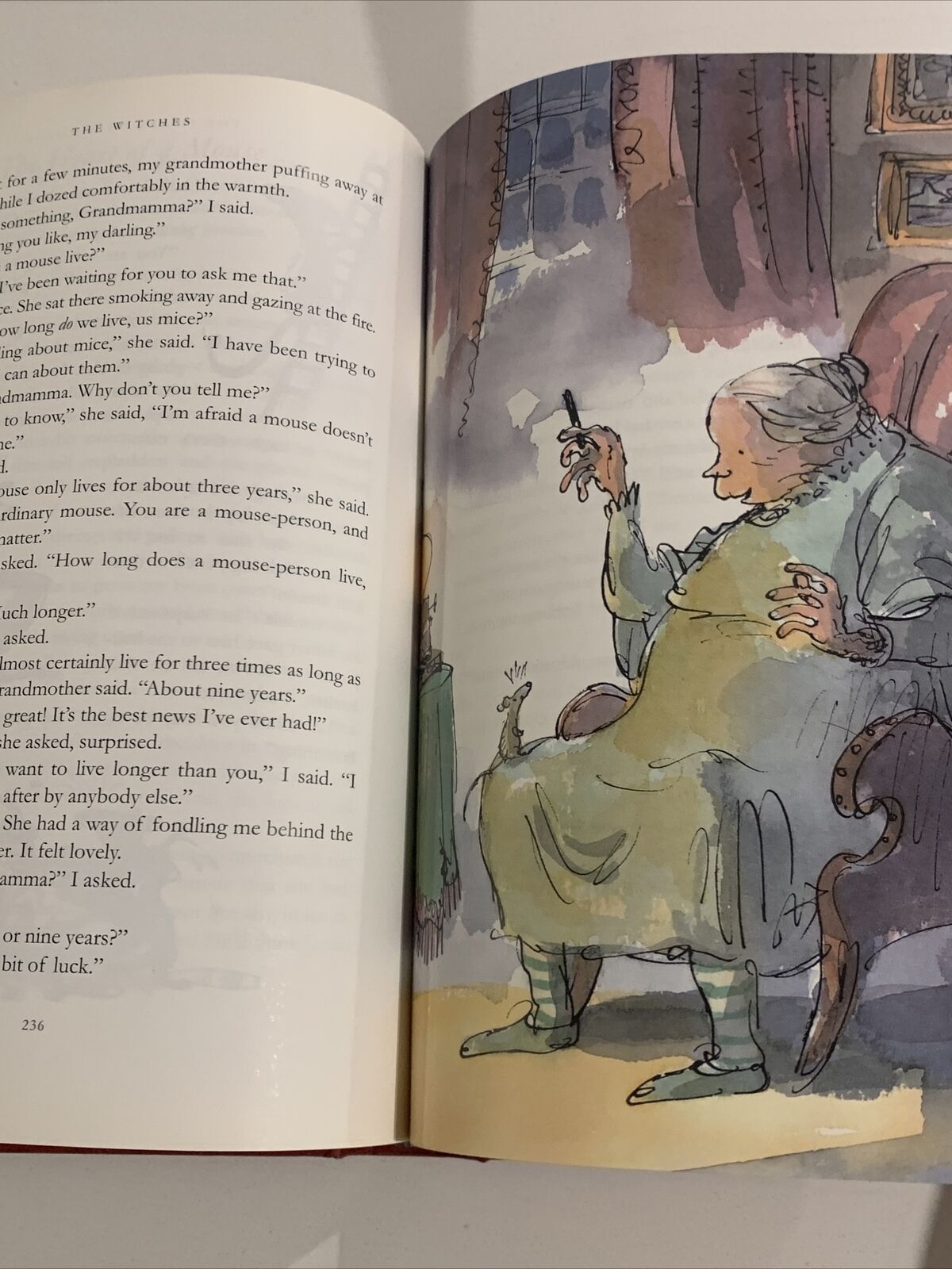 HC Book THE ROALD DAHL TREASURY 1997 LG RED BOARD Illustrated Book