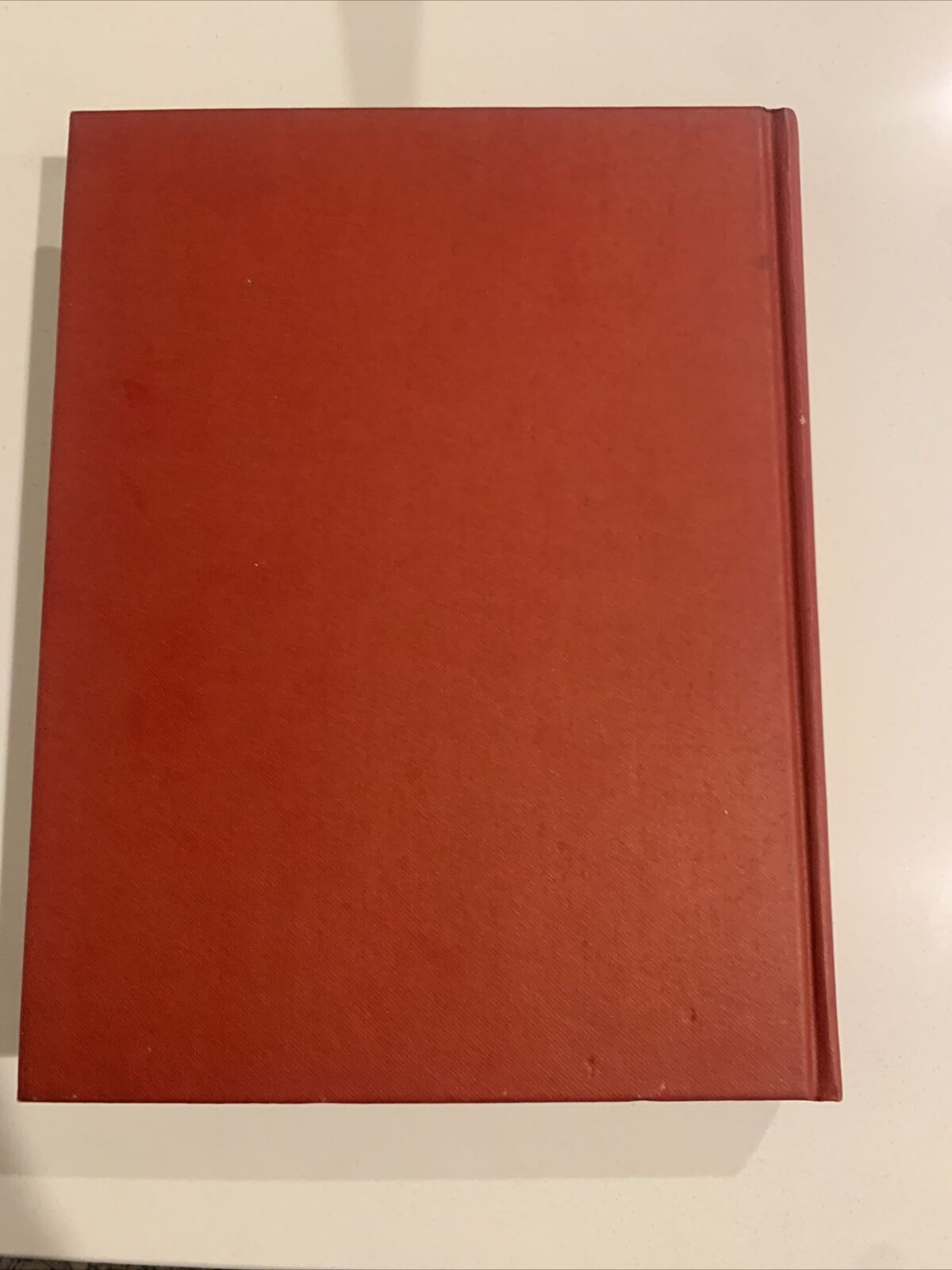 HC Book THE ROALD DAHL TREASURY 1997 LG RED BOARD Illustrated Book