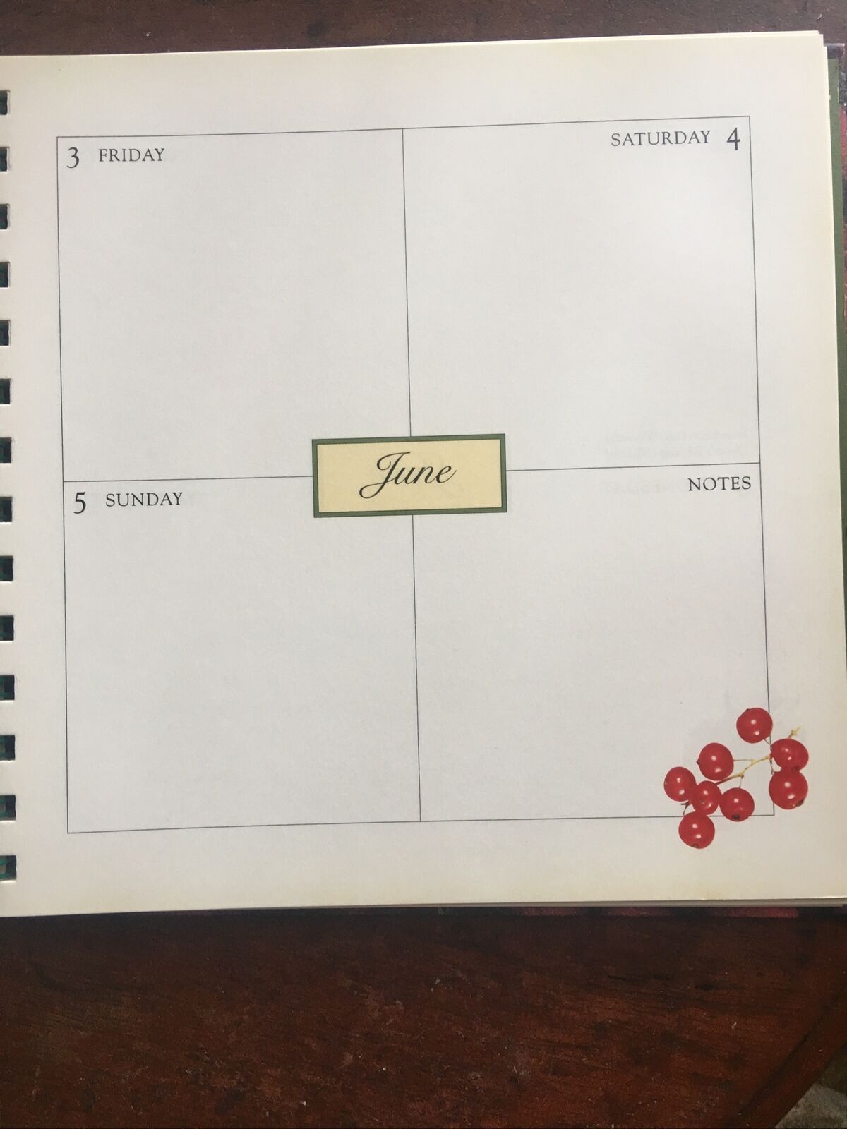 HC Book Margaret Fulton’s Kitchen DIARY 1994 1995 Calendar Spiral Ring Year