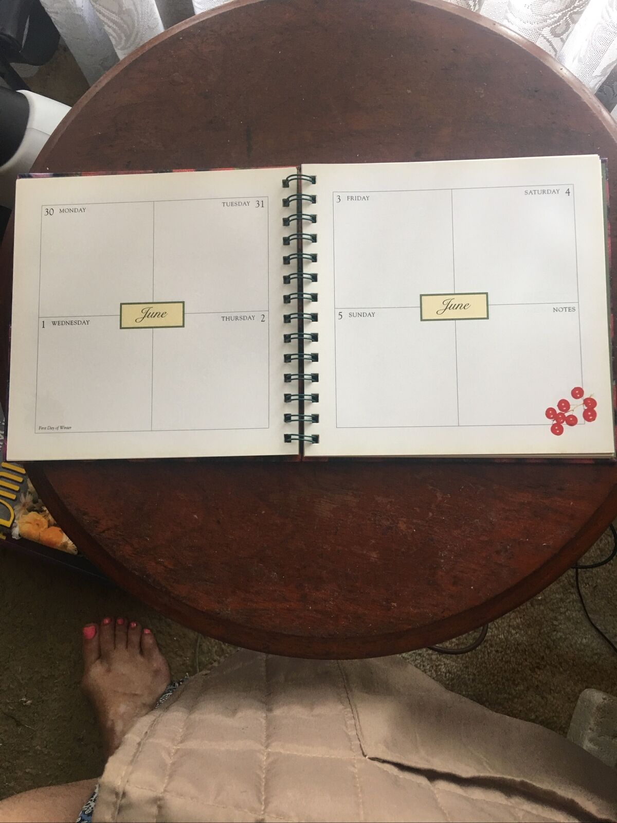 HC Book Margaret Fulton’s Kitchen DIARY 1994 1995 Calendar Spiral Ring Year