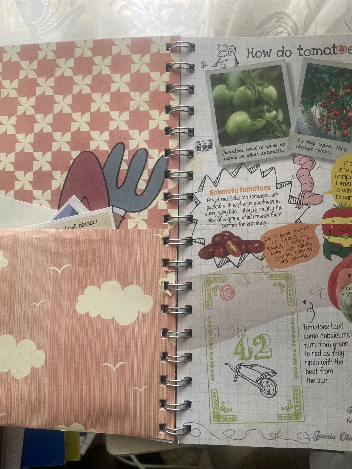 CookBook Jamie’s Garden Collect Grow Cook Share Spiral Bound HC Woolworths 2014