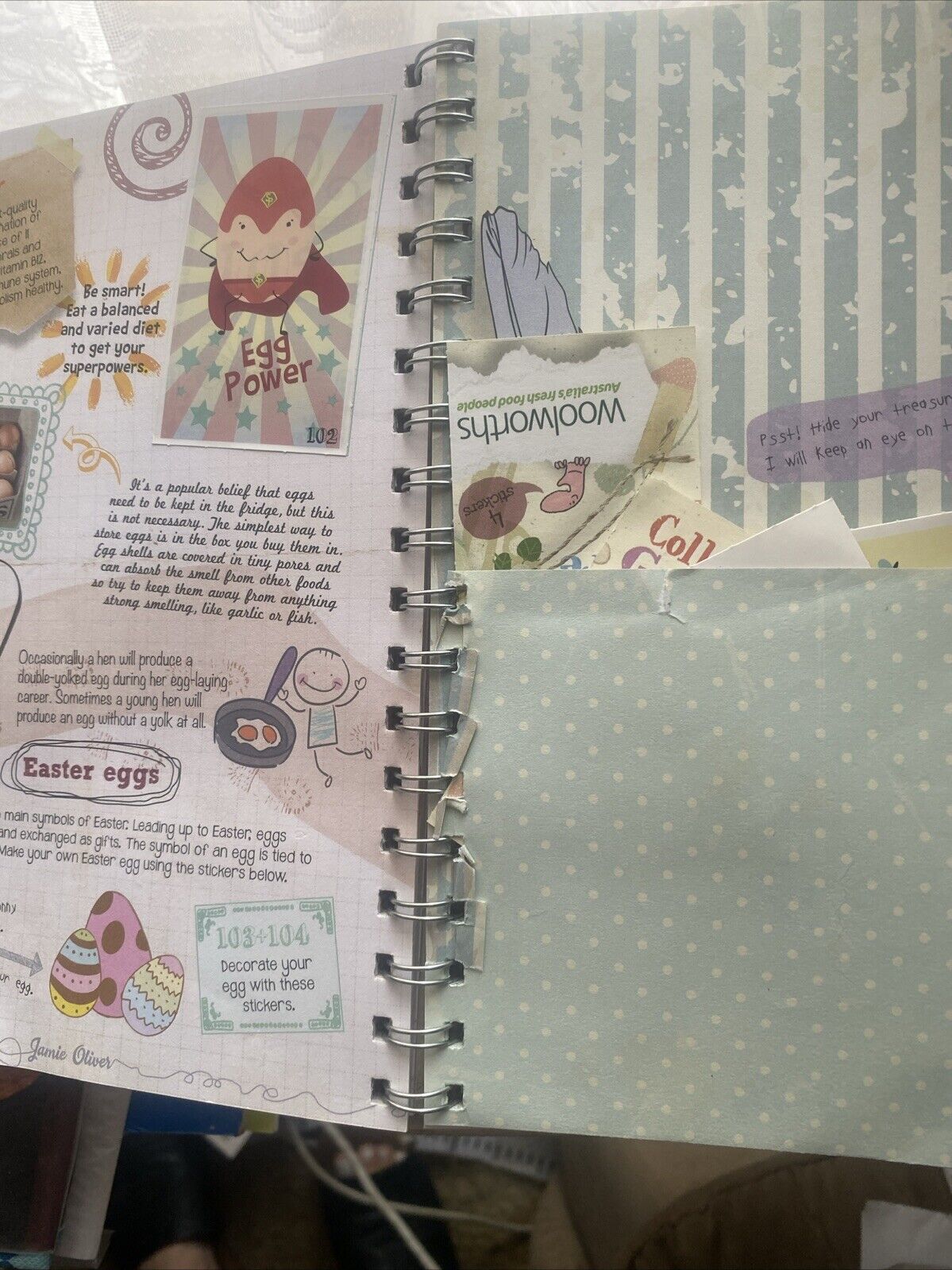 CookBook Jamie’s Garden Collect Grow Cook Share Spiral Bound HC Woolworths 2014
