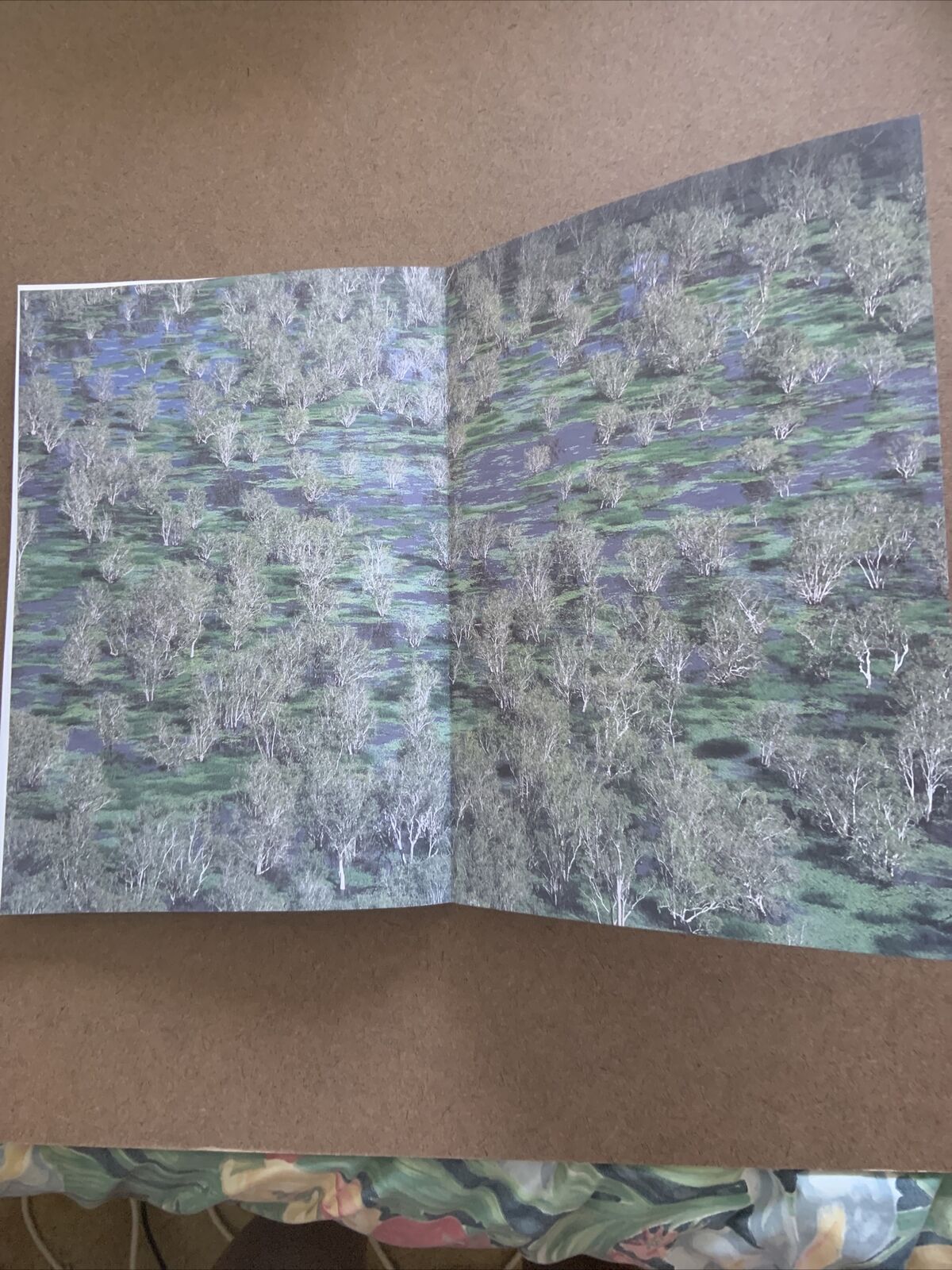PB KAKADU a Heritage for the Future Meier / Balderstone Large Book Inscribed
