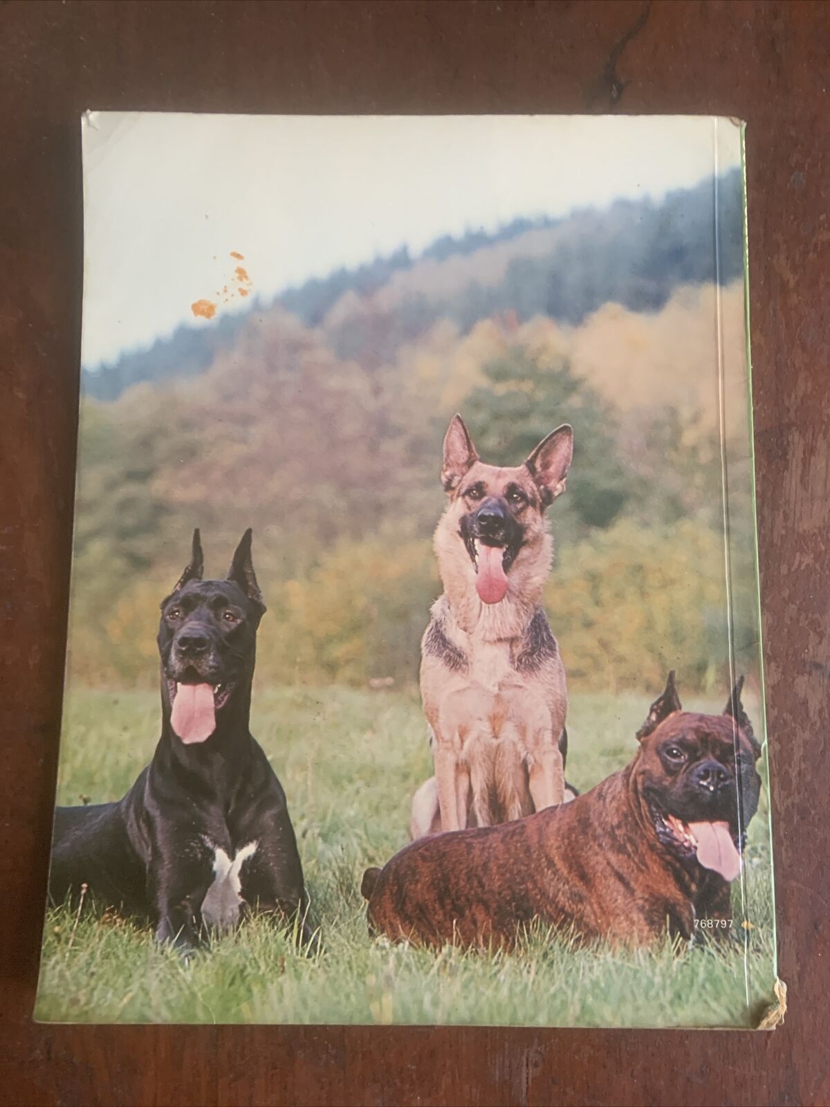 PB Book DOGS IN COLOUR Including Caring for Your Dog Anna Pollard Vintage 1979