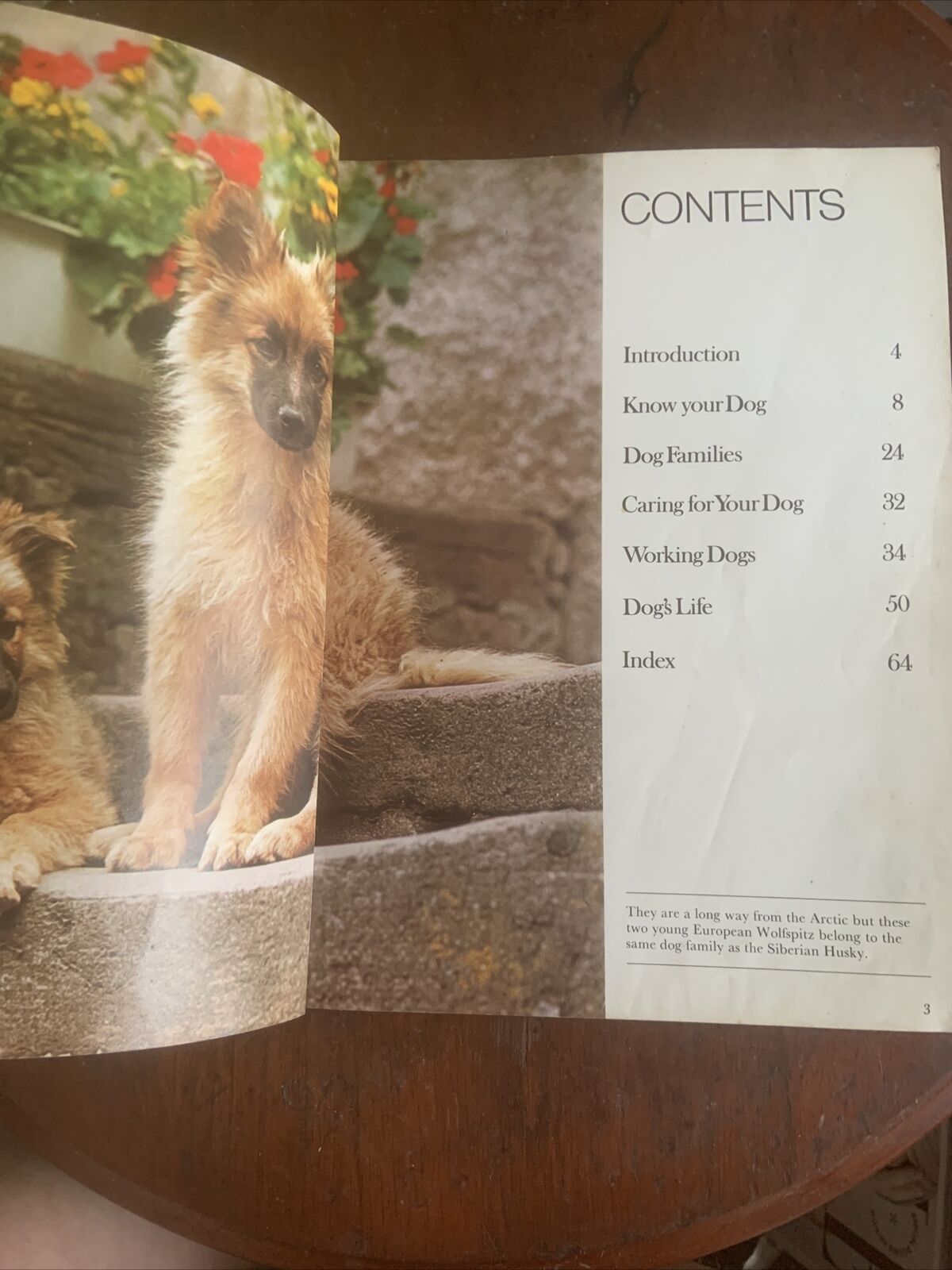 PB Book DOGS IN COLOUR Including Caring for Your Dog Anna Pollard Vintage 1979