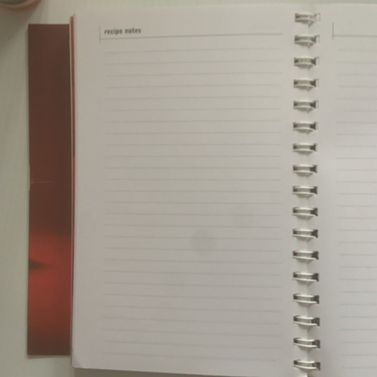 PB Book FRESH Seasonal Produce DIARY 2000 Allan Campion Michele Curtis Spiral