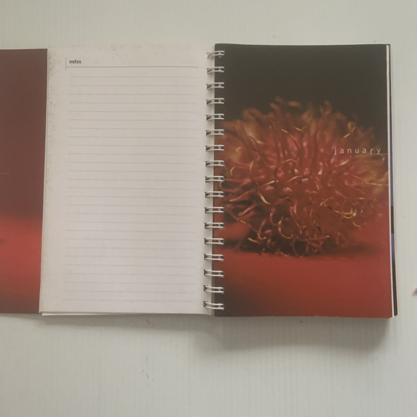PB Book FRESH Seasonal Produce DIARY 2000 Allan Campion Michele Curtis Spiral