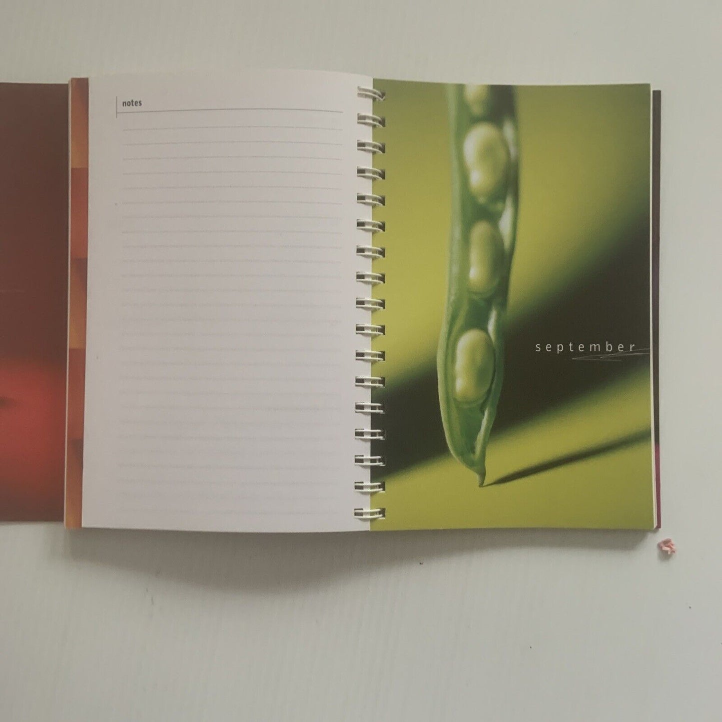 PB Book FRESH Seasonal Produce DIARY 2000 Allan Campion Michele Curtis Spiral