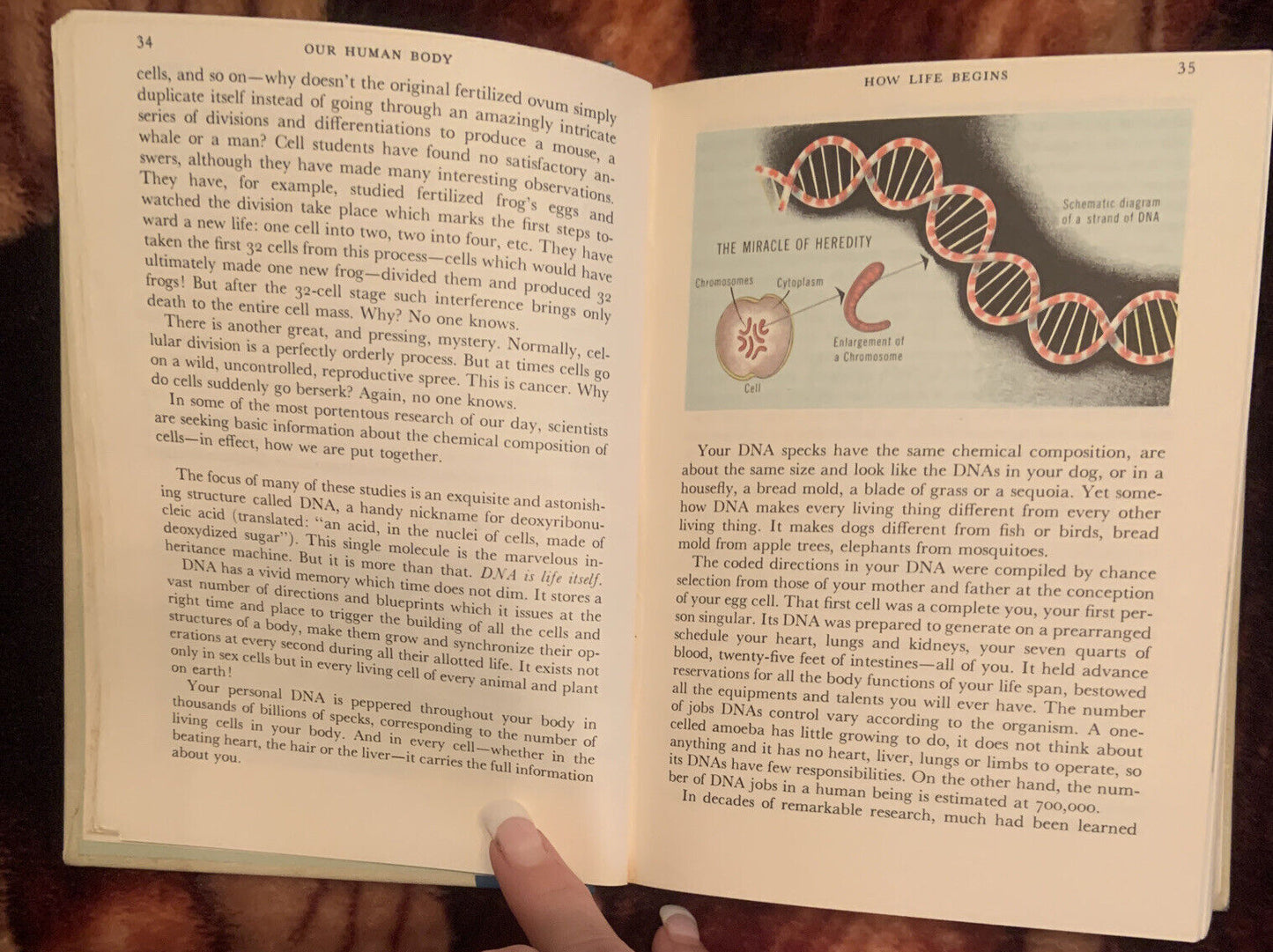 READER'S DIGEST. OUR HUMAN BODY. ITS WONDERS & ITS CARE Hard Slip Case 1962 Book