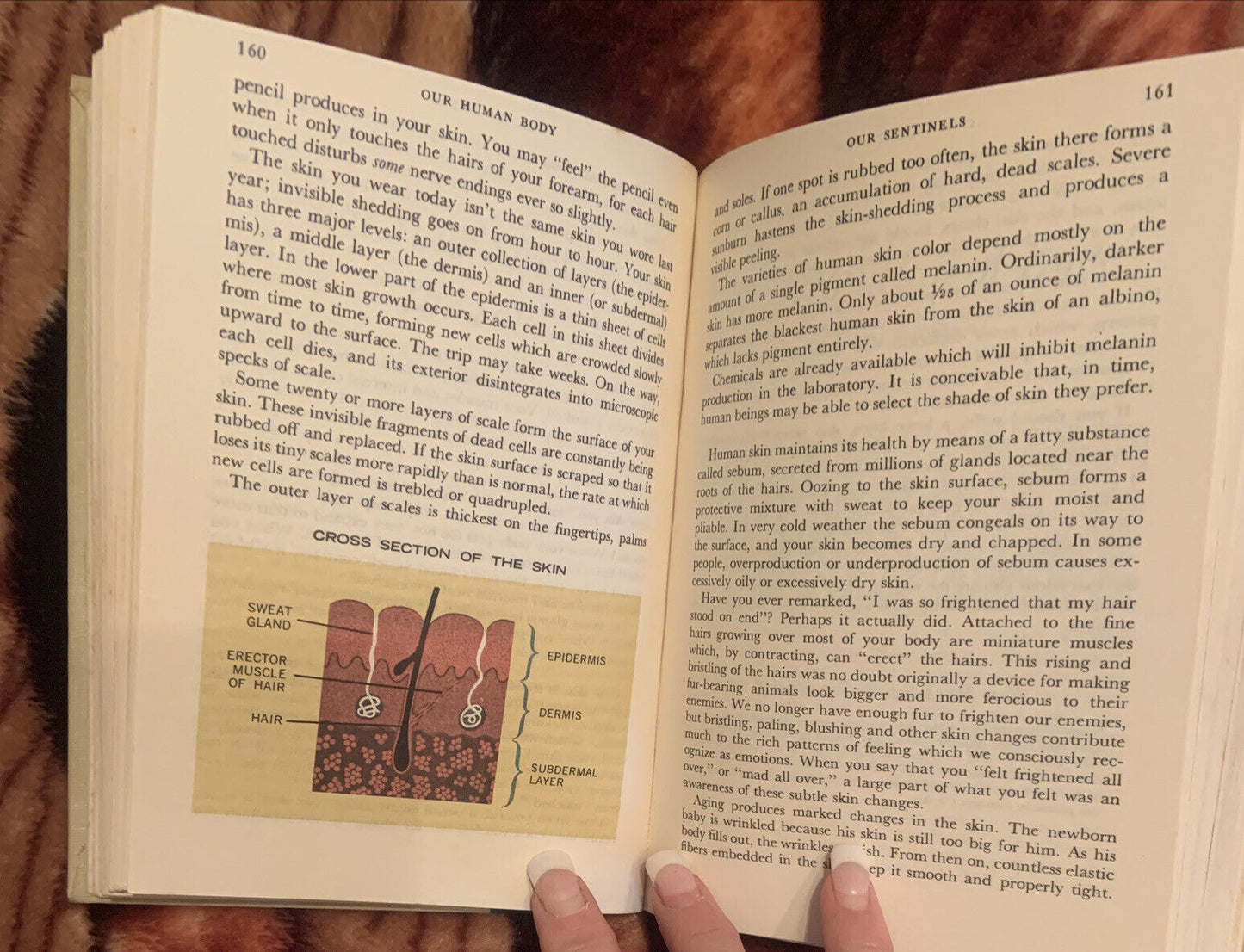 READER'S DIGEST. OUR HUMAN BODY. ITS WONDERS & ITS CARE Hard Slip Case 1962 Book