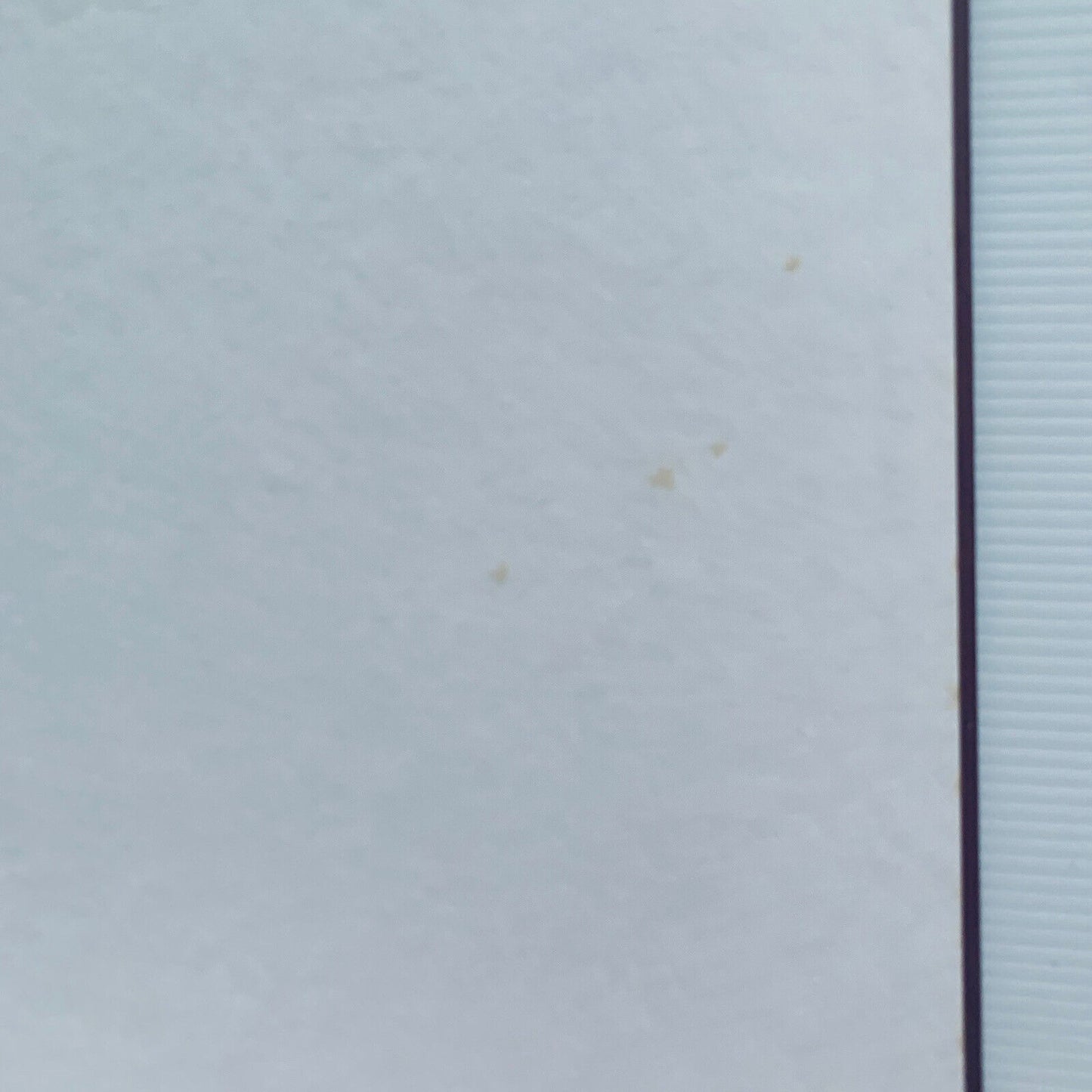 Cookbook CHOCOLATES from Steeple Bumpstead Julie Haylock HC Desserts Treats 1995