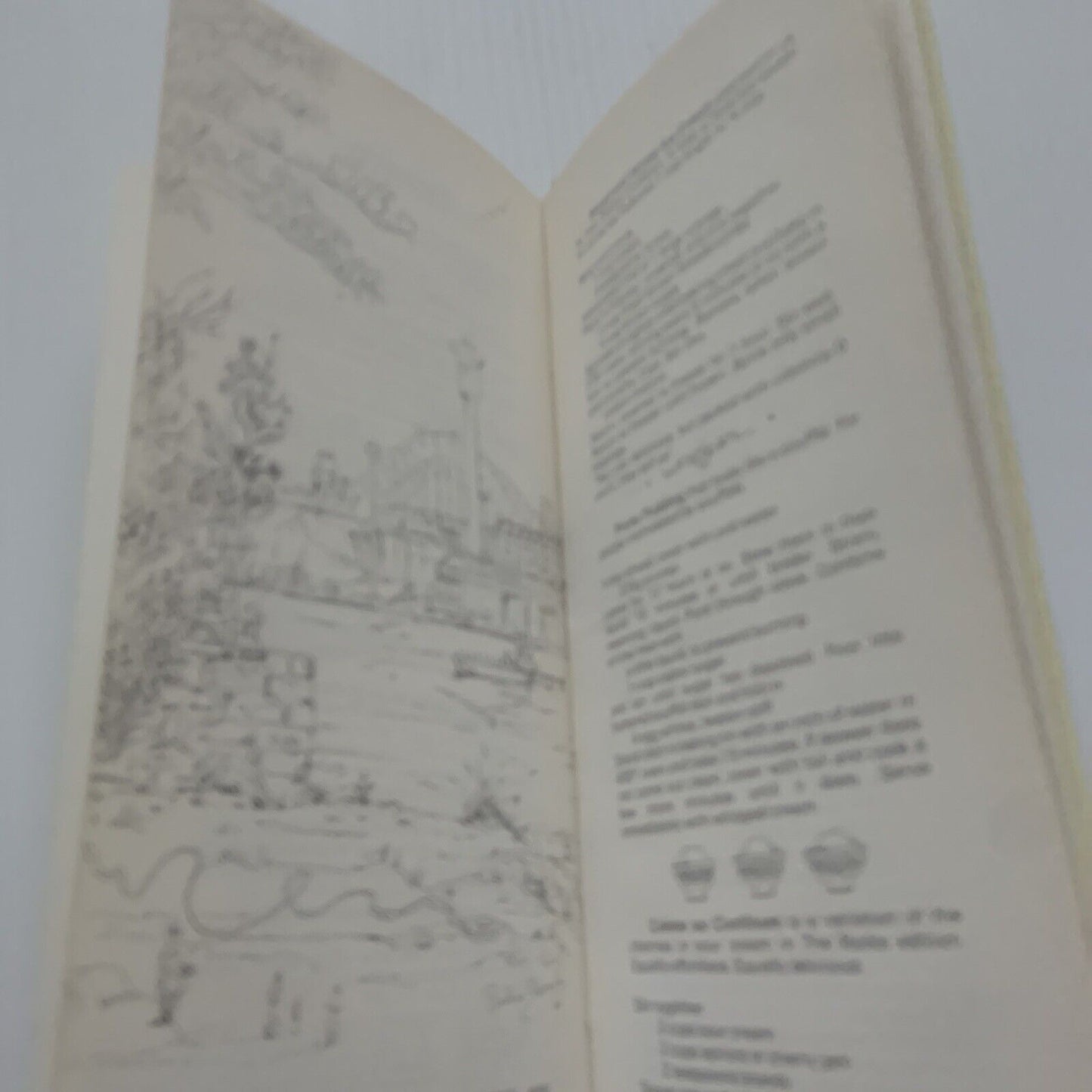 Cookbook The TERRACE TIMES BALMAIN Edition Slim HC Recipes by Helen Arbib 1978