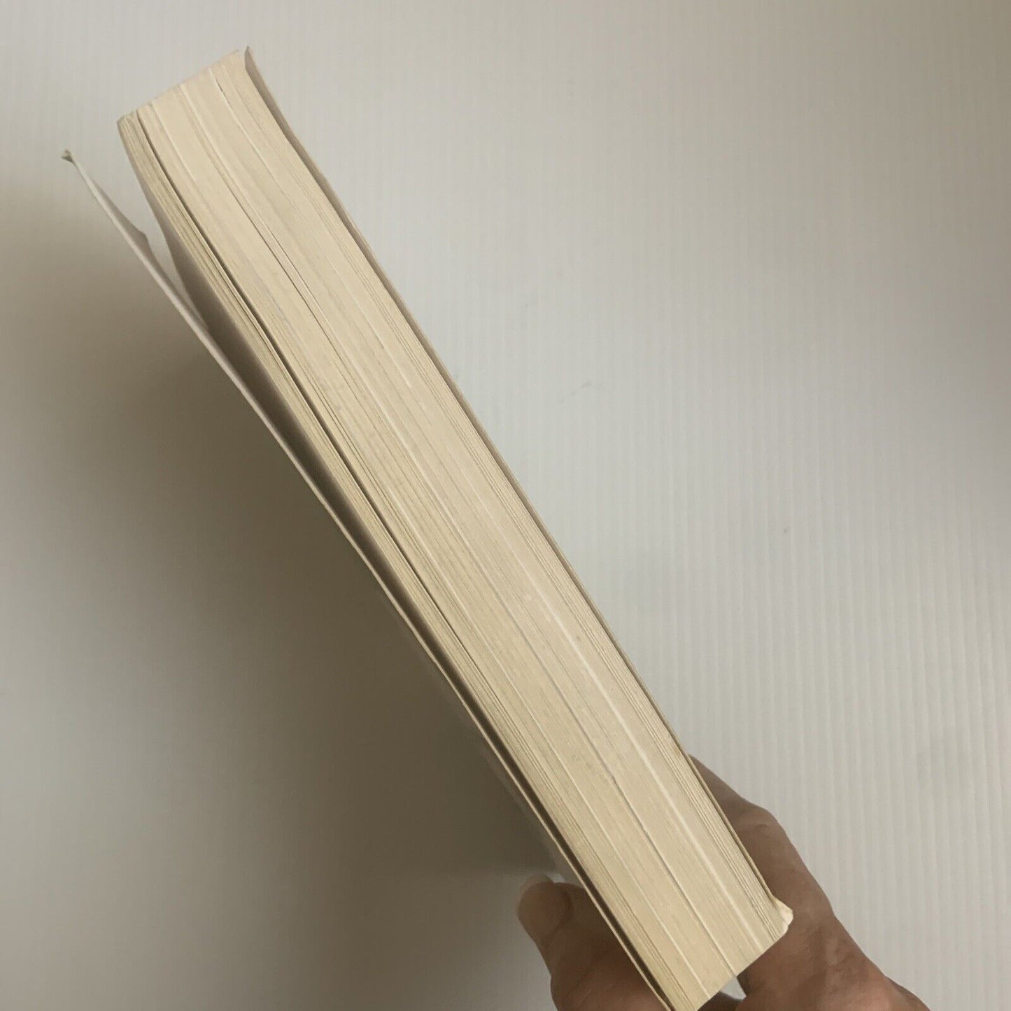 Captains Diary 2007 By Ricky Ponting Ashes World Cup Book Cricket Sport PB 2017