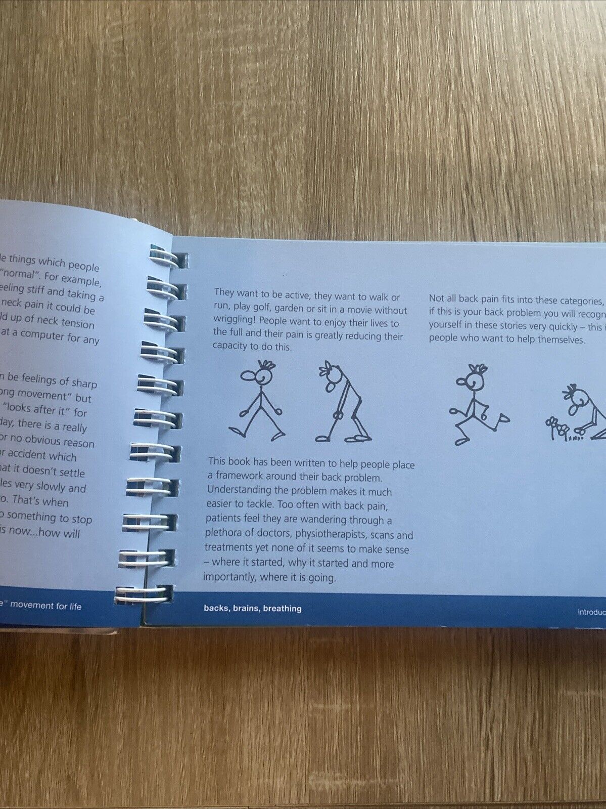 PHYSIOCISE Backs Brains Breathing Anna Louise Bouvier Spiral BOARD Book 2008 6th