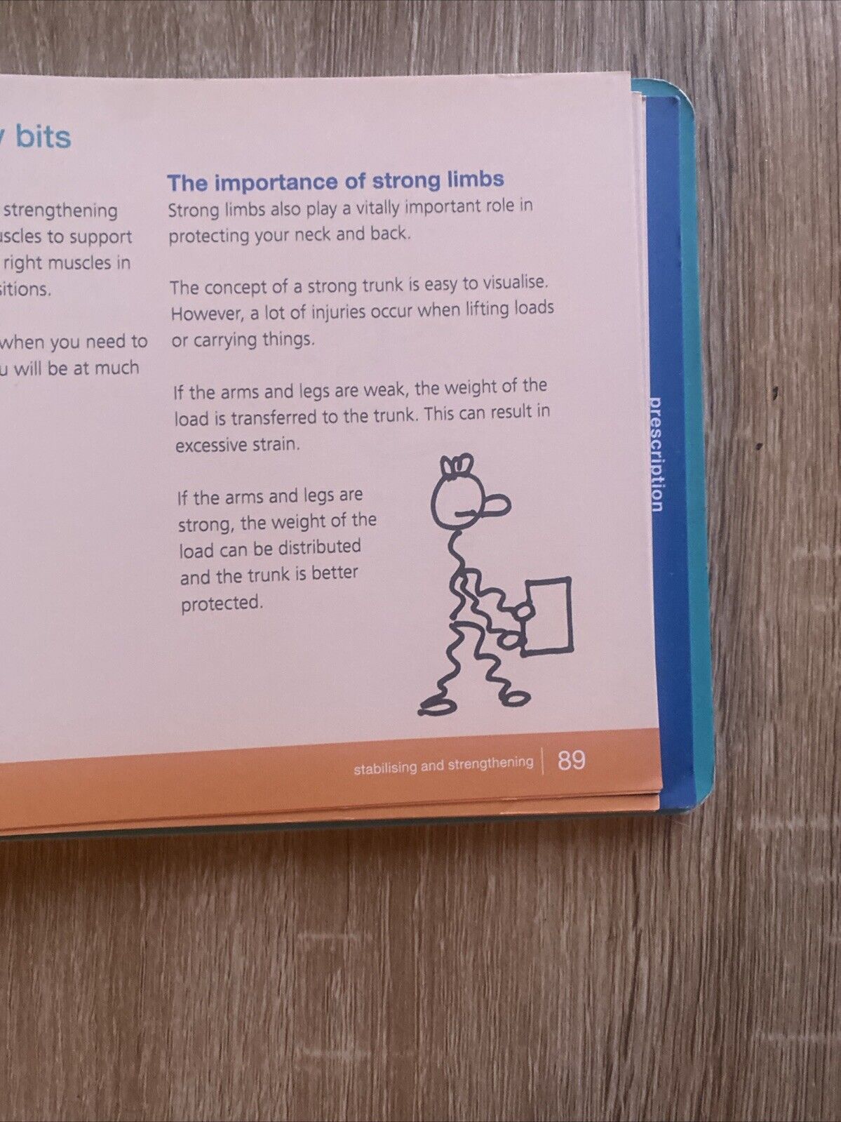 PHYSIOCISE Backs Brains Breathing Anna Louise Bouvier Spiral BOARD Book 2008 6th