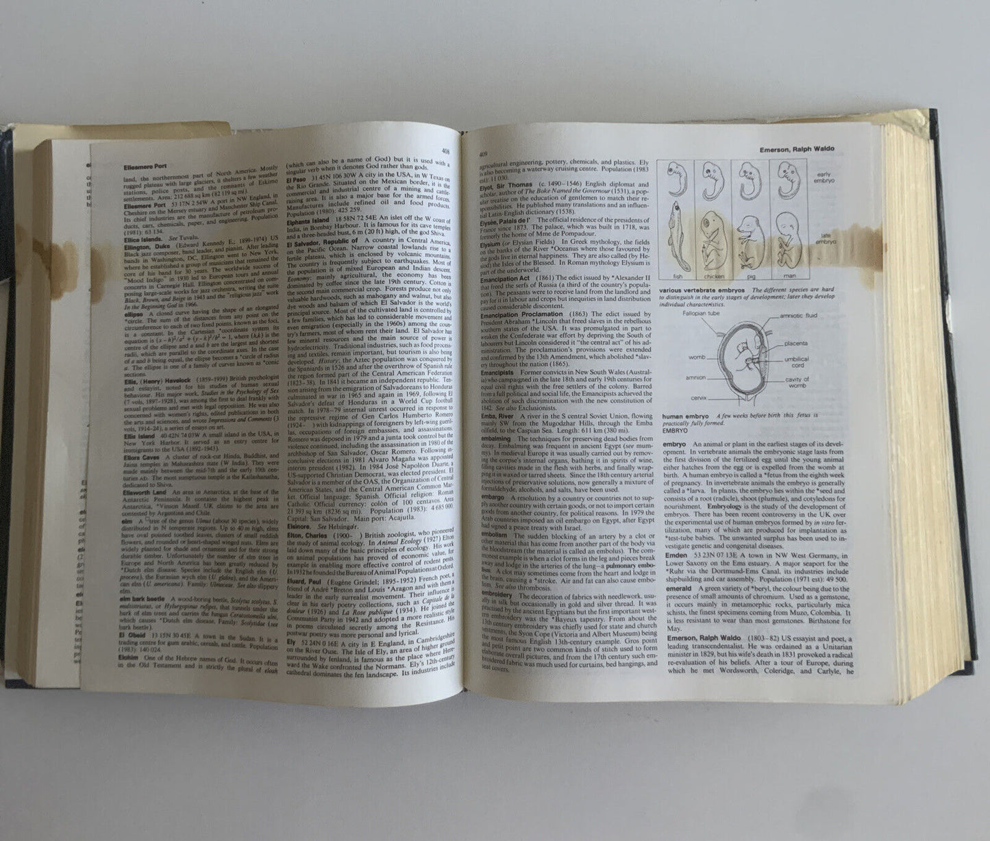 HC Book The Macmillan Encyclopedia Alan Isaacs New Edition 1986 Large Torn DJ