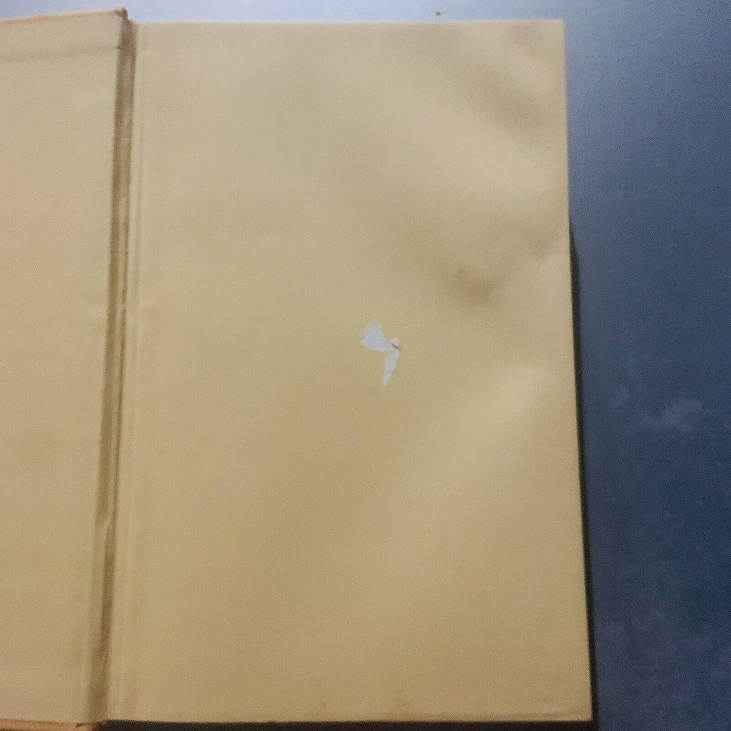 HC Book GOLDIE HAWN A Lotus Grows in the Mud Autobiography by Goldie Hawn 2005