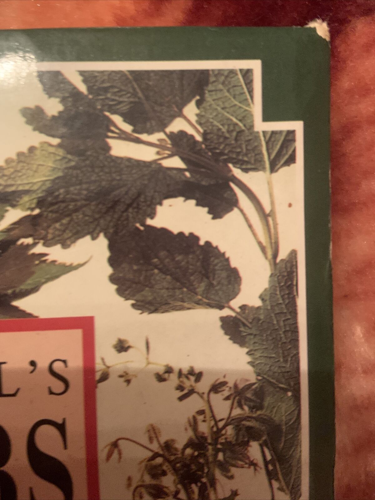 HC HERBS Their Cultivation & Usage + HERBS for HEALTH John Rosemary Hemphill Set