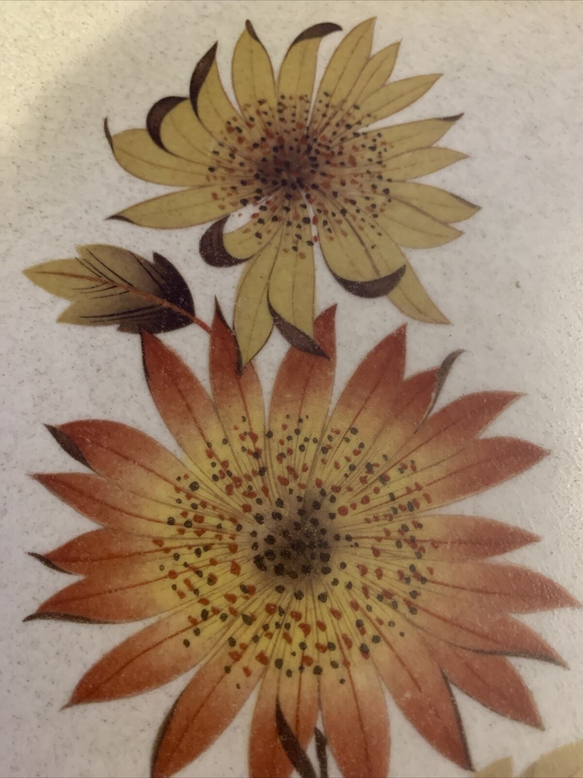 Vintage MCM TONGA Johnson Australia Dinner Plate Floral Pattern 25.5cm Sunflower