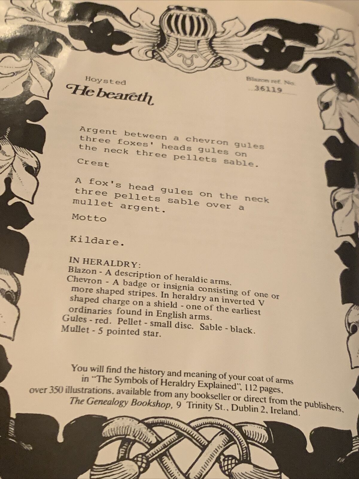 HC Book The HOYSTED FAMILY Kildare Una W Richards Family Reunion Committee 1988