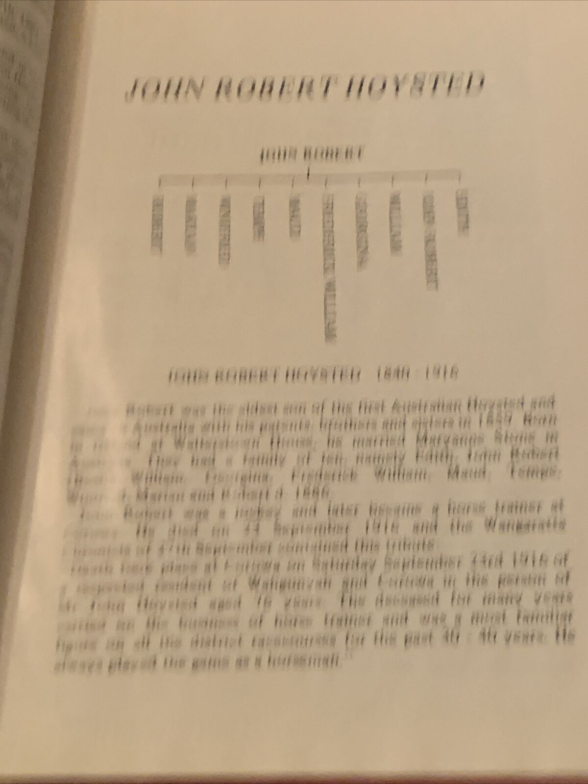 HC Book The HOYSTED FAMILY Kildare Una W Richards Family Reunion Committee 1988