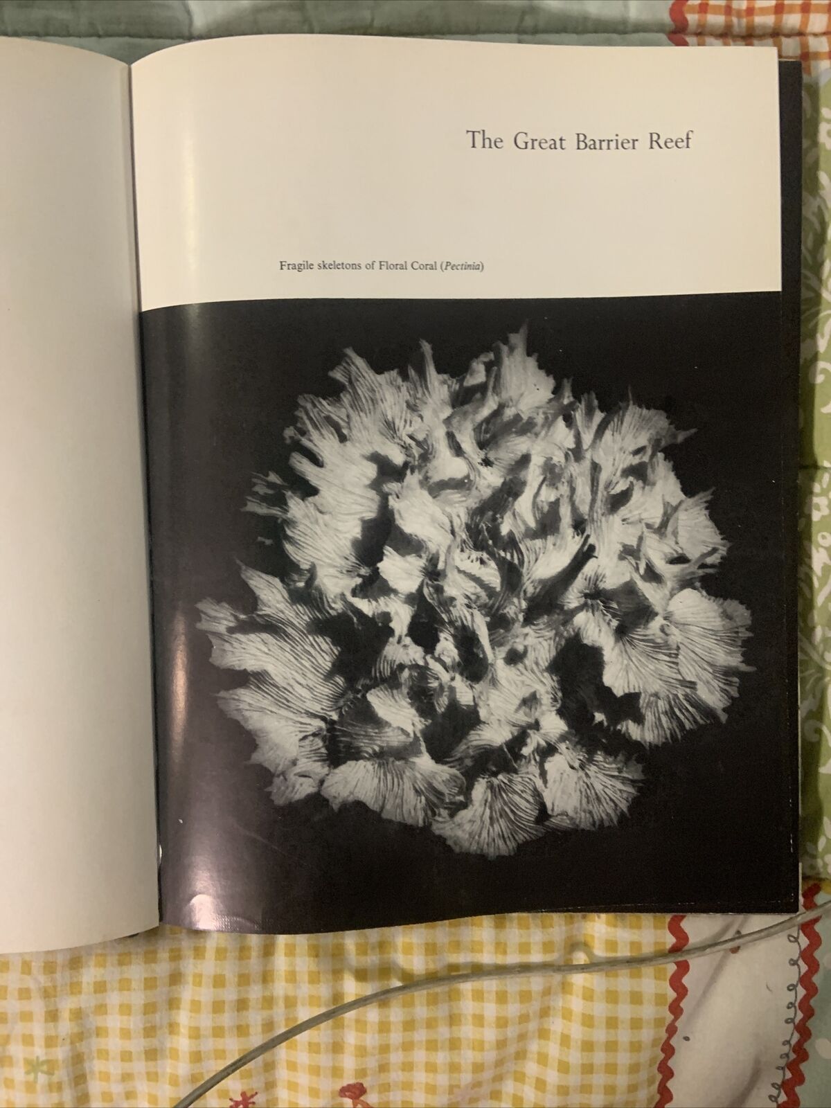HC Book 1966 THE GREAT BARRIER REEF Eric Worrell LG DJ Inscription Rare Vintage