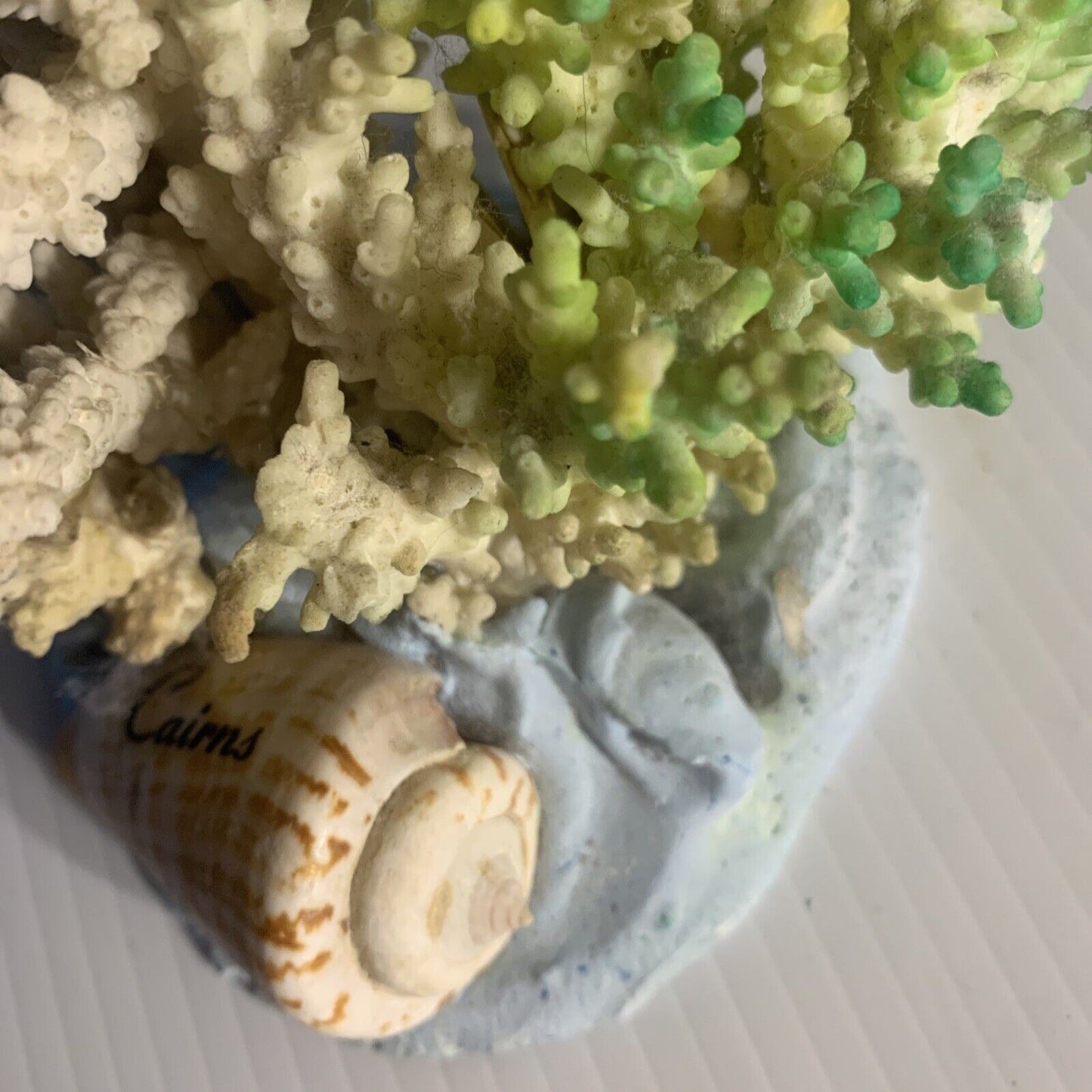 CAIRNS Coral Australian Reef Lace Coral Fossilised Natural Piece Decor Aquarium